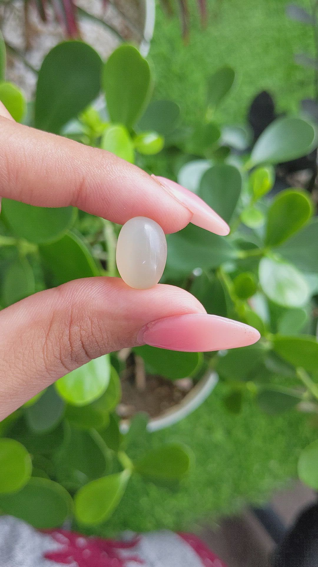 11.71 Ct. Cabochon Moonstone from Ceylon (Sri Lanka) Size Video