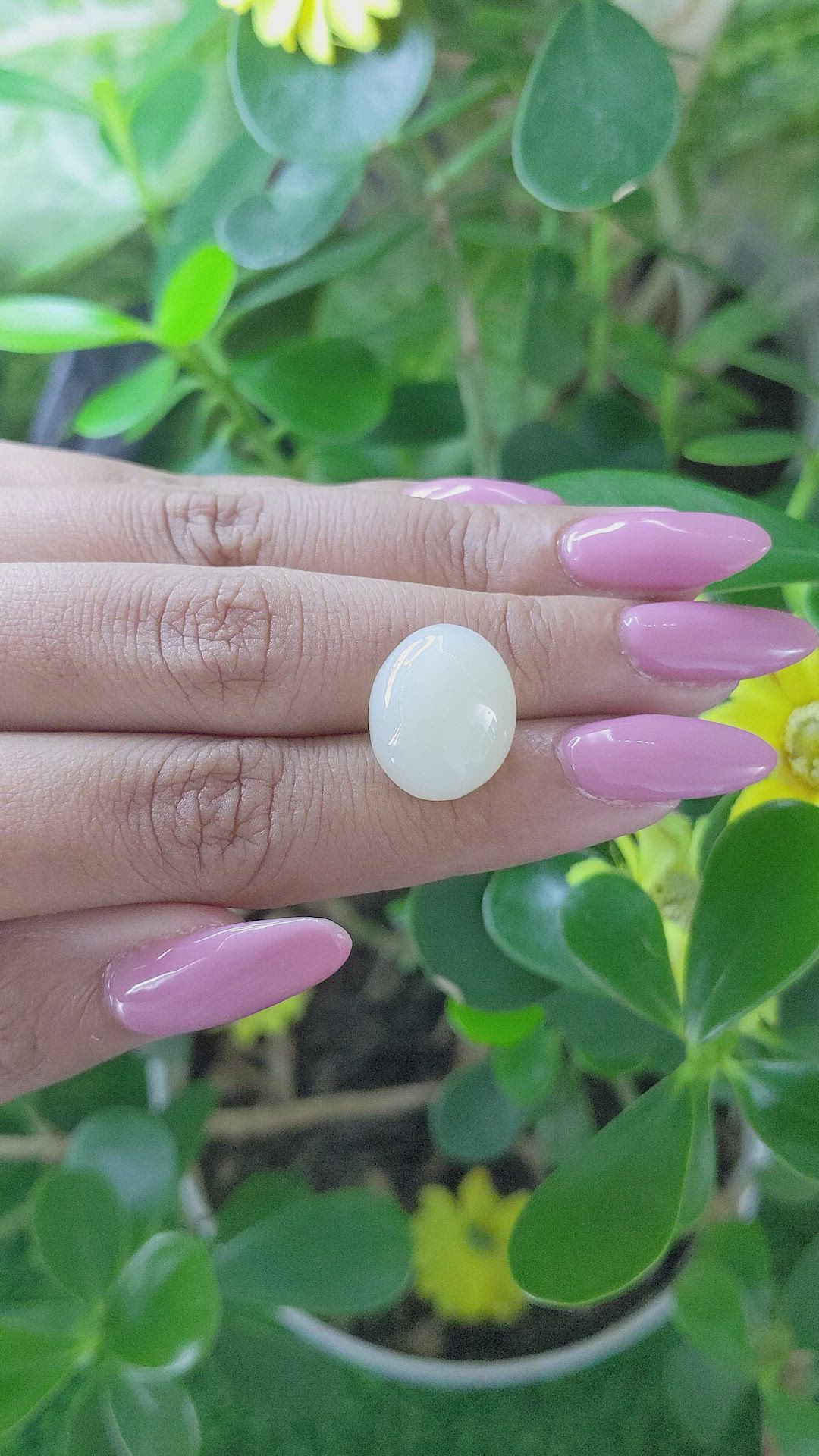 10.52 Ct. Cabochon Moonstone from Ceylon (Sri Lanka) Size Video