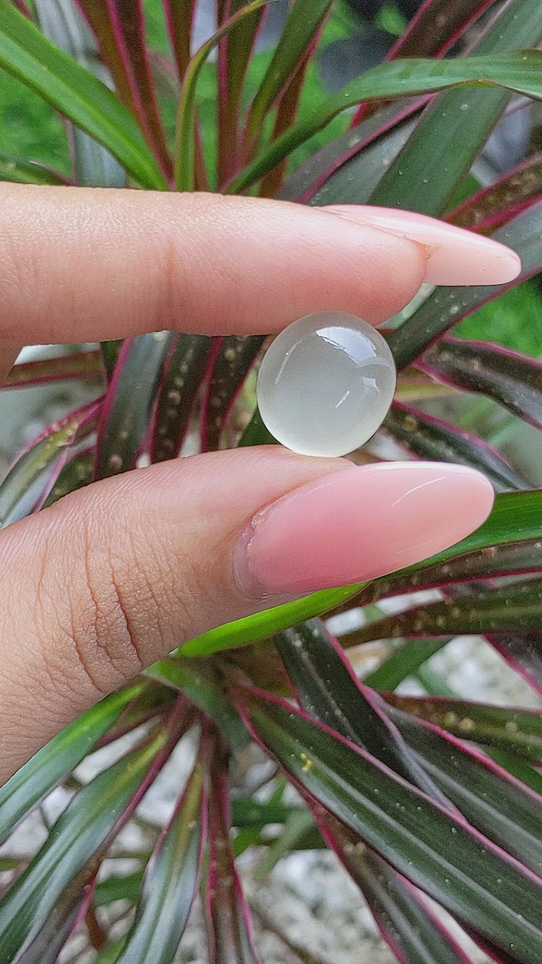10.88 Ct. Cabochon Moonstone from Ceylon (Sri Lanka) Size Video