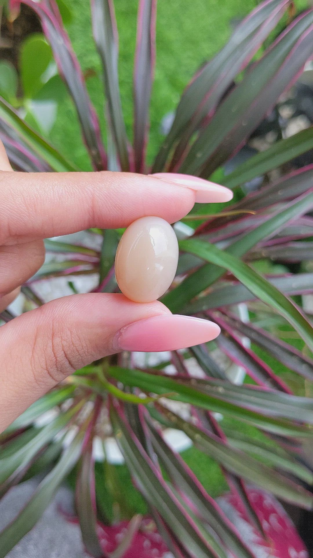 31.61 Ct. Cabochon Moonstone from Ceylon (Sri Lanka) Size Video