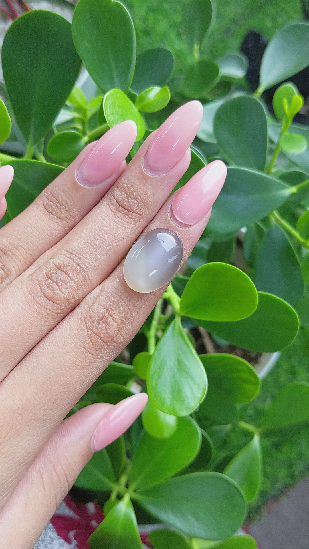 16.42 Ct. Cabochon Moonstone from Ceylon (Sri Lanka) Size Video