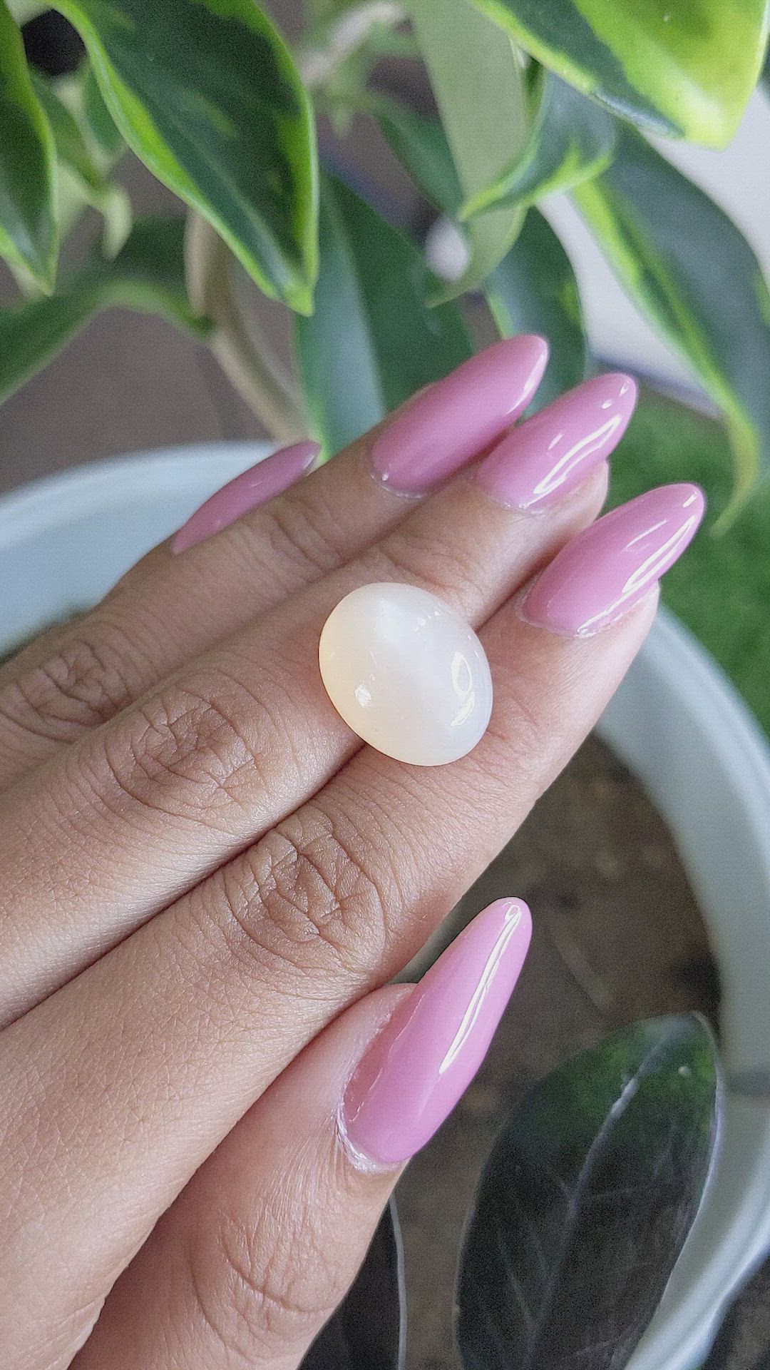 12.37 Ct. Cabochon Moonstone from Ceylon (Sri Lanka) Size Video