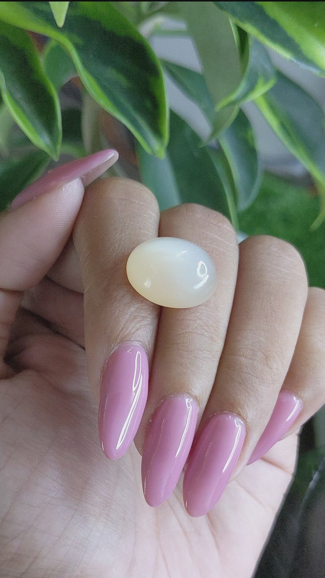 12.37 Ct. Cabochon Moonstone from Ceylon (Sri Lanka) Size Video