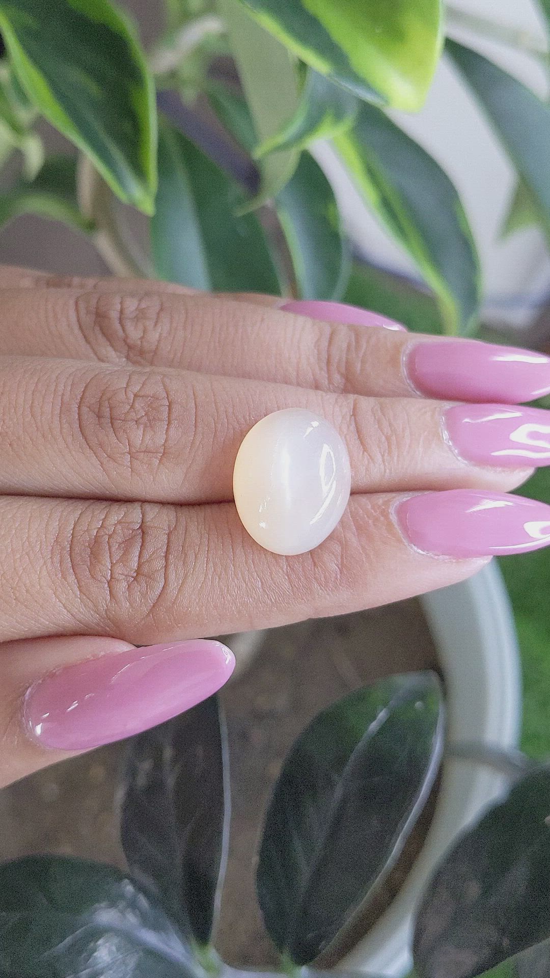 12.37 Ct. Cabochon Moonstone from Ceylon (Sri Lanka) Size Video
