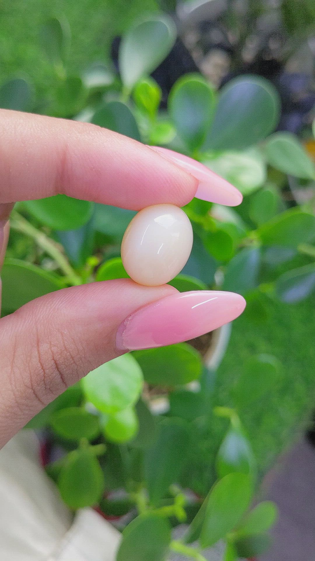 19.08 Ct. Cabochon Moonstone from Ceylon (Sri Lanka) Size Video