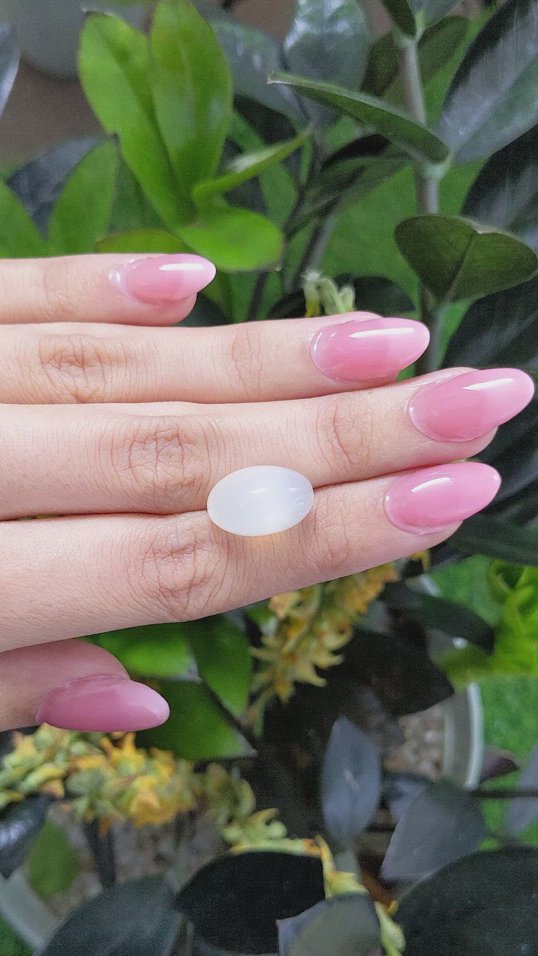 14.89 Ct. Cabochon Moonstone from Ceylon (Sri Lanka) Size Video