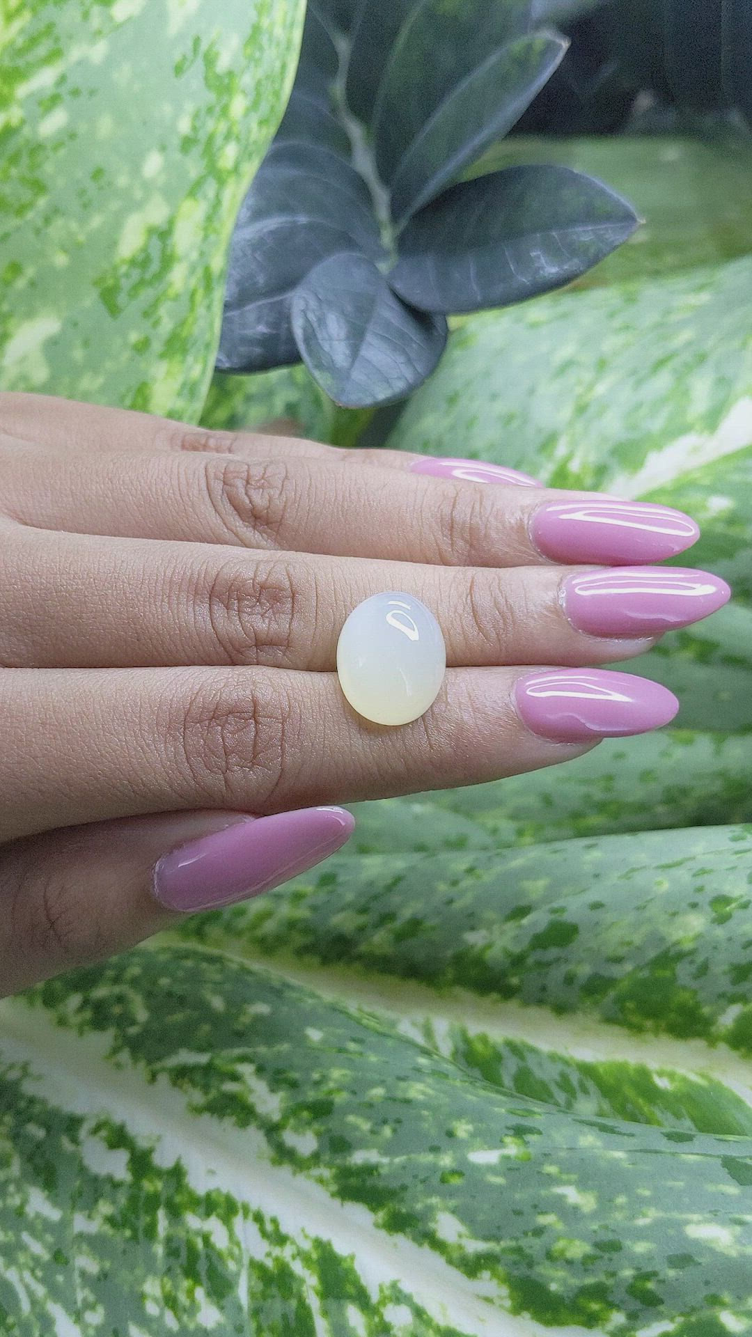 10.91 Ct. Cabochon Moonstone from Ceylon (Sri Lanka) Size Video