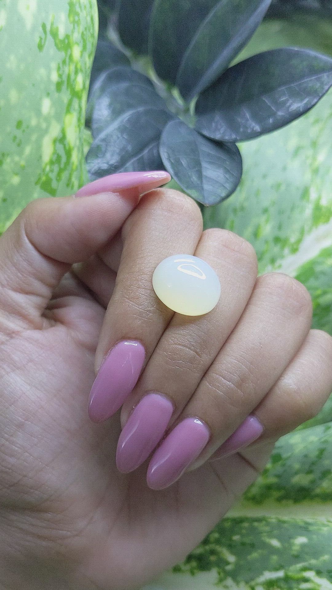 10.91 Ct. Cabochon Moonstone from Ceylon (Sri Lanka) Size Video