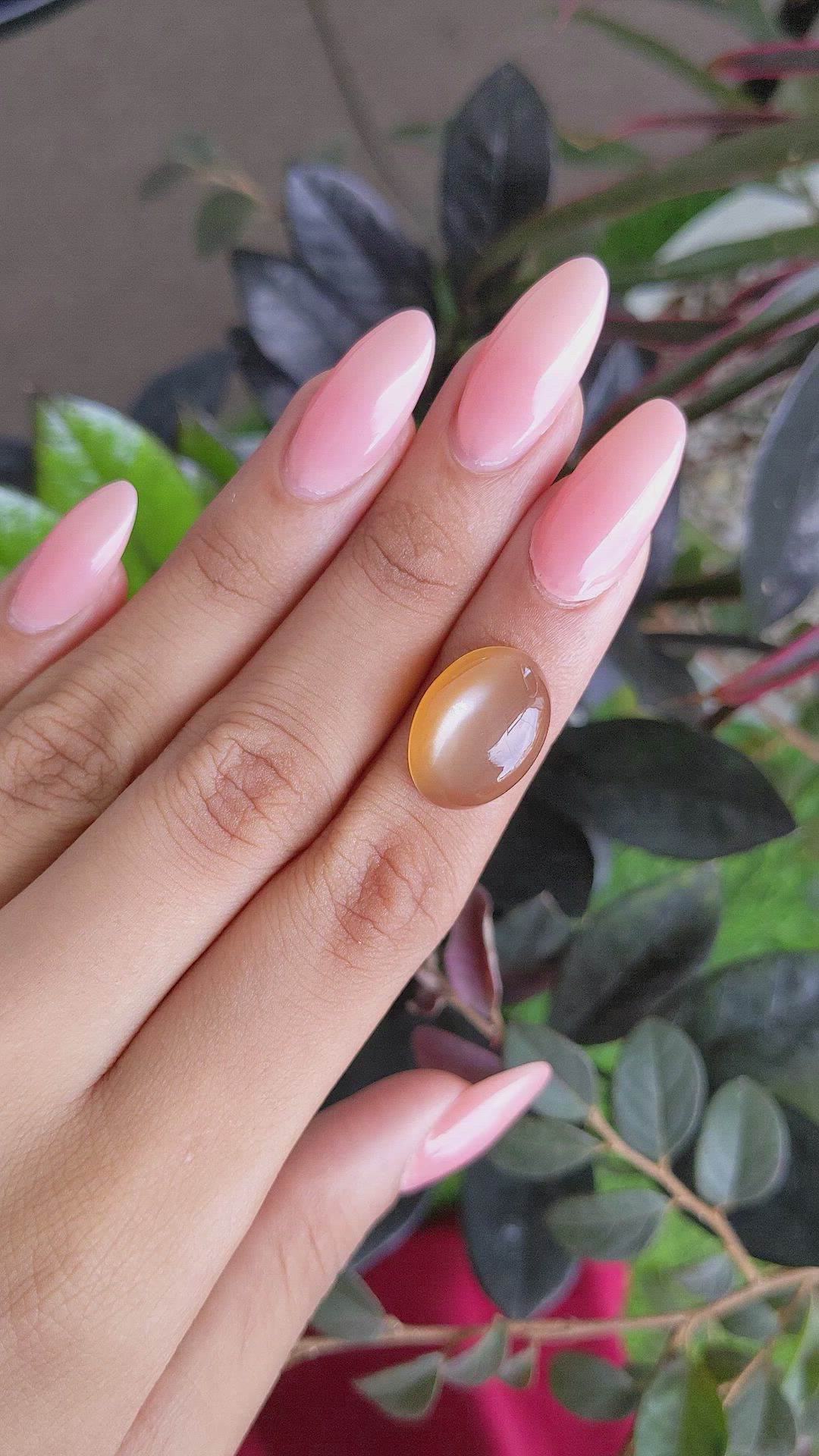 10.46 Ct. Cabochon Moonstone from Ceylon (Sri Lanka) Size Video