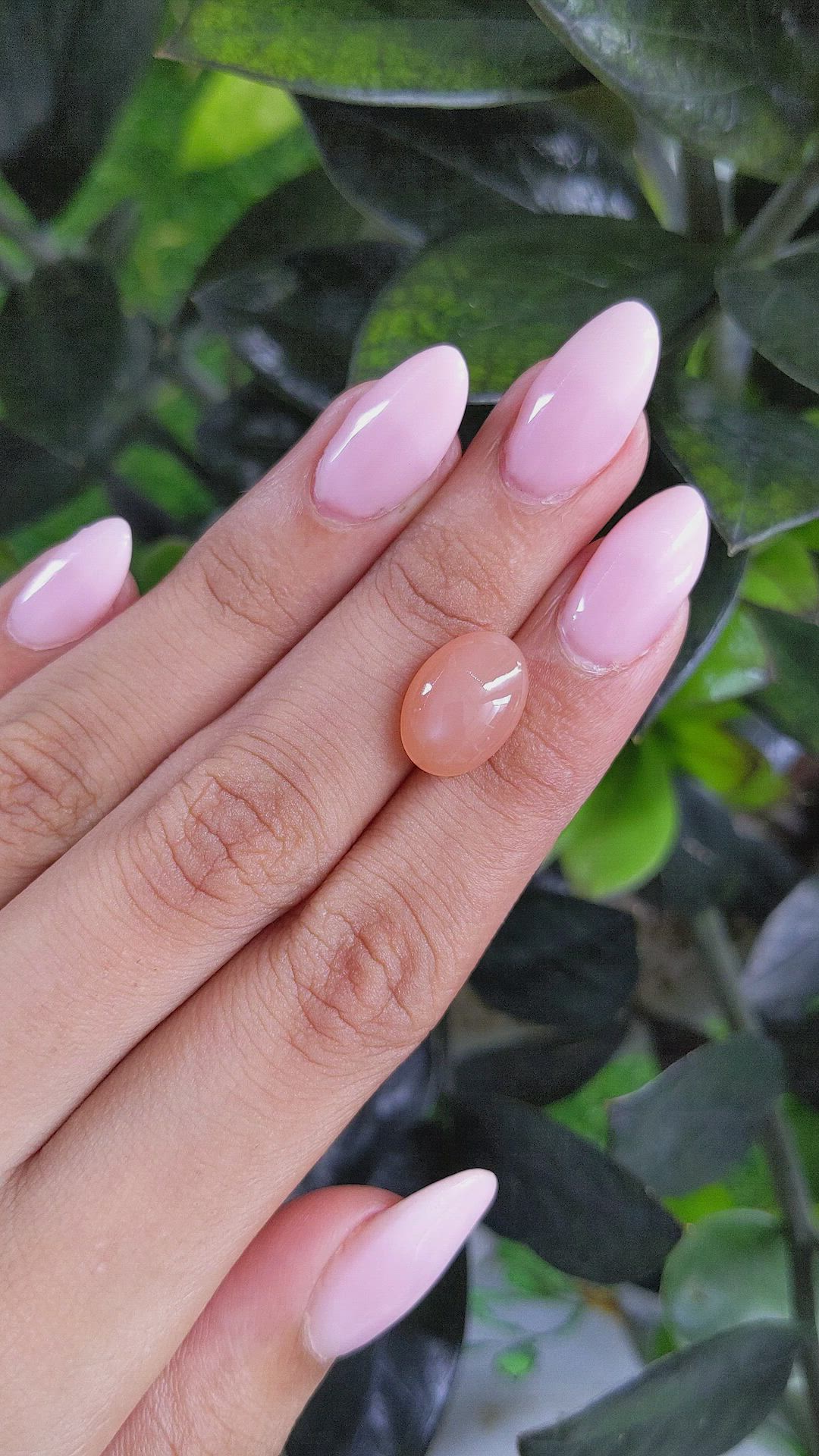5.68 Ct. Cabochon Moonstone from Ceylon (Sri Lanka) Size Video
