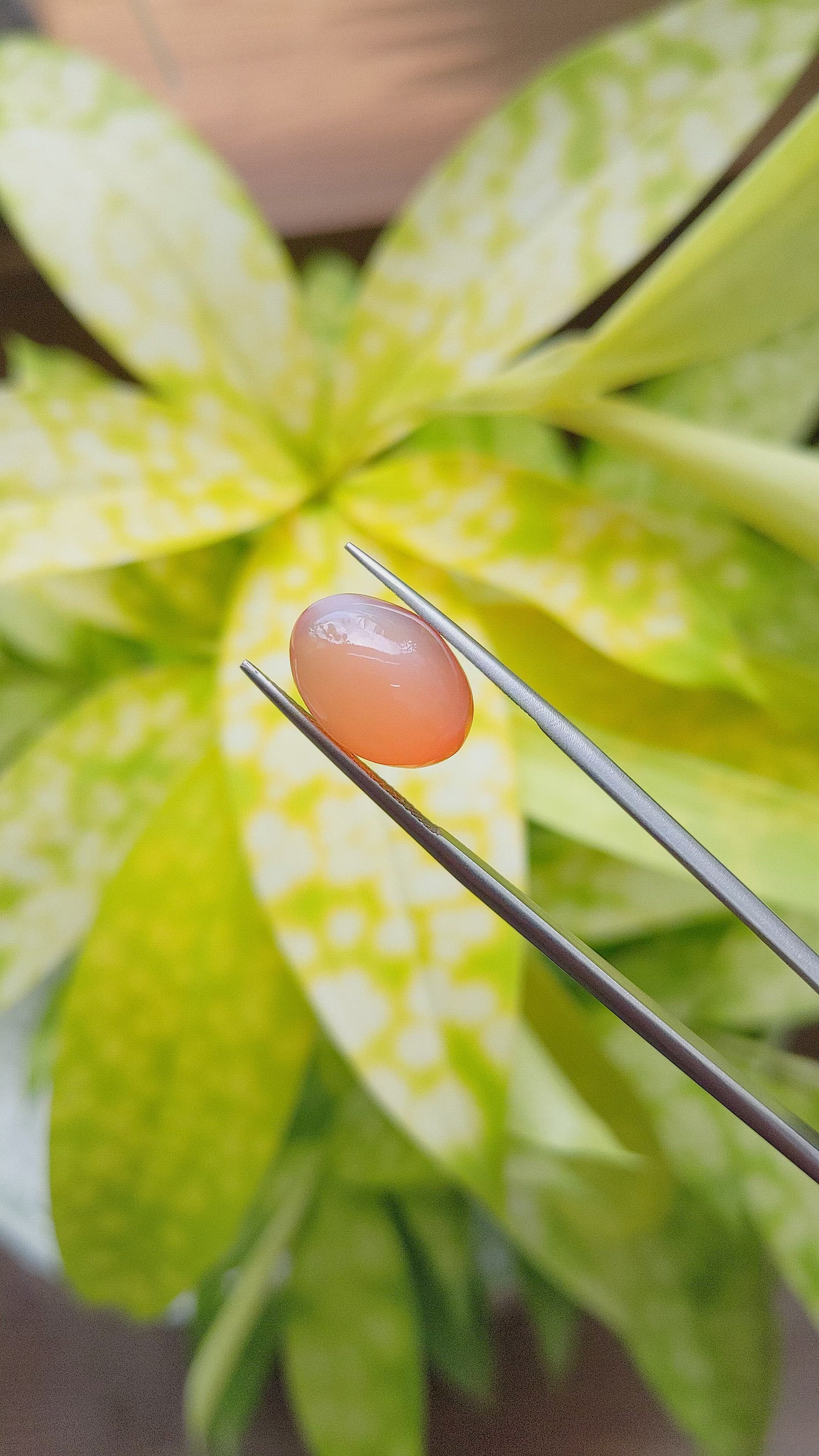 7.09 Ct. Cabochon Moonstone from Ceylon (Sri Lanka) Size Video