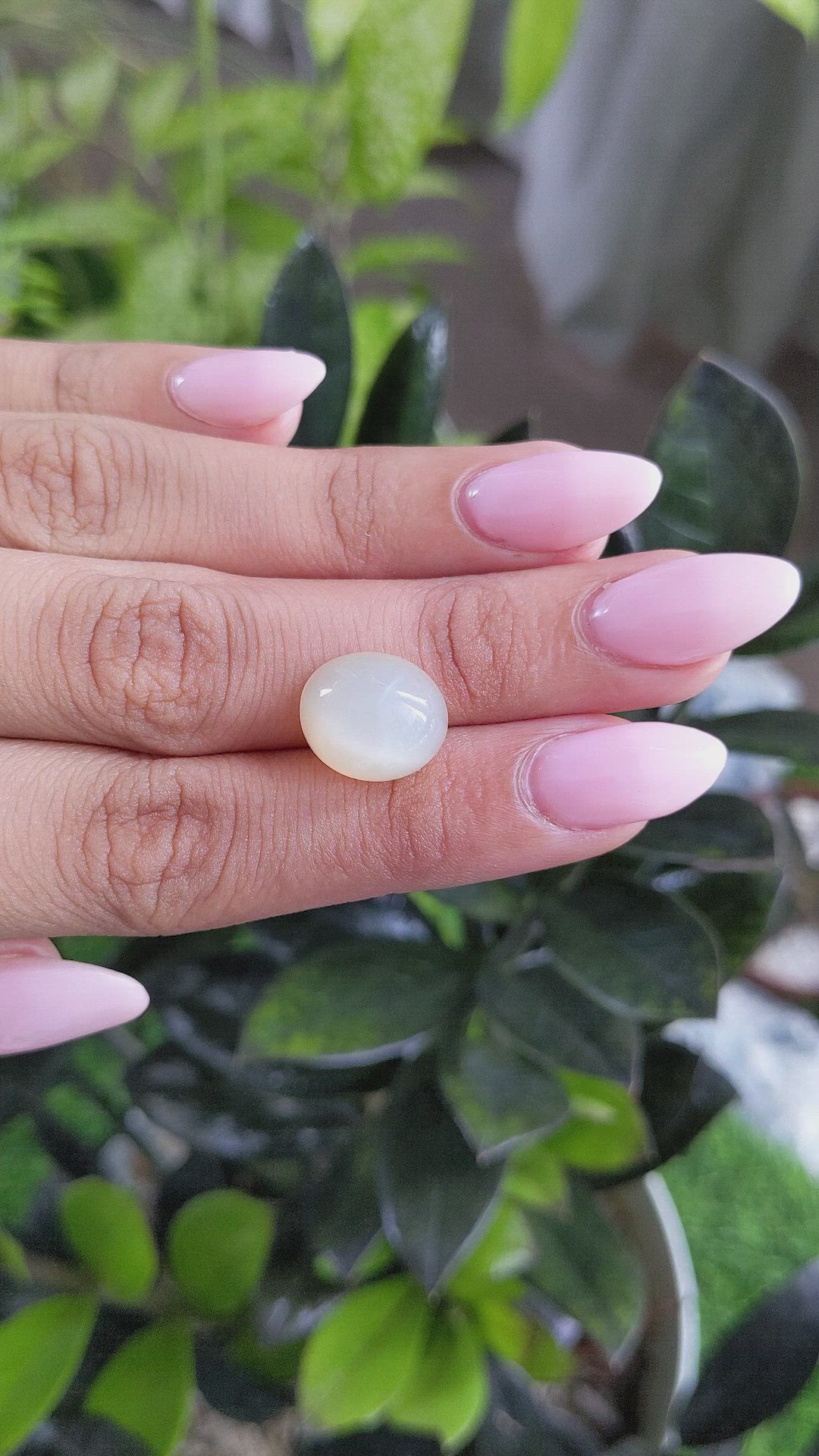 8.31 Ct. Cabochon Moonstone from Ceylon (Sri Lanka) Size Video