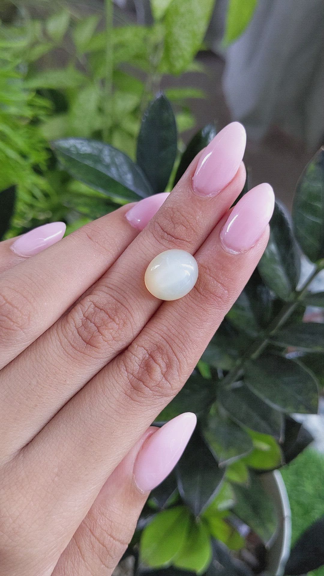 8.31 Ct. Cabochon Moonstone from Ceylon (Sri Lanka) Size Video
