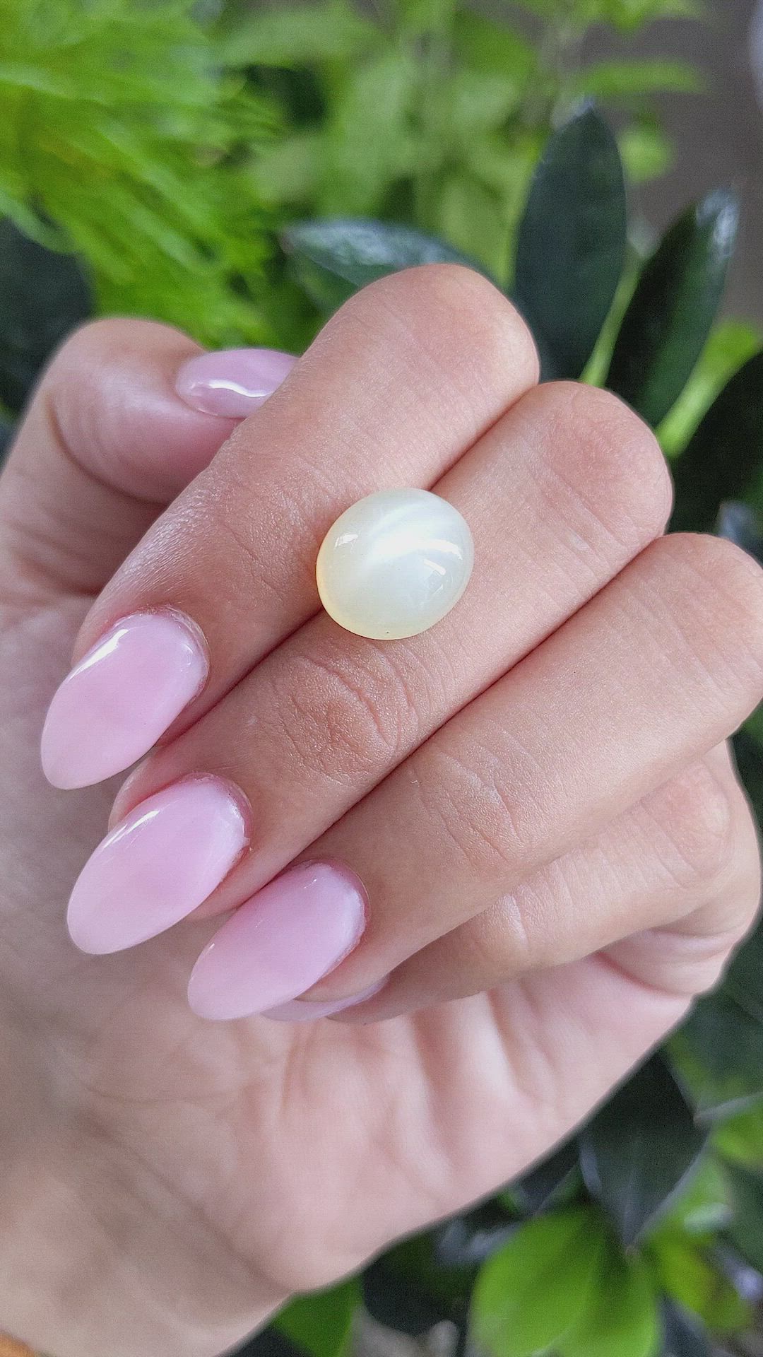 8.31 Ct. Cabochon Moonstone from Ceylon (Sri Lanka) Size Video