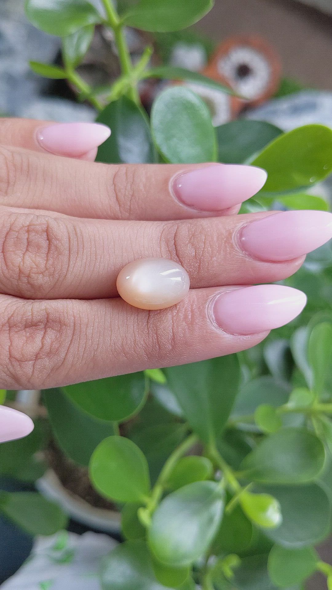 7.92 Ct. Cabochon Moonstone from Ceylon (Sri Lanka) Size Video