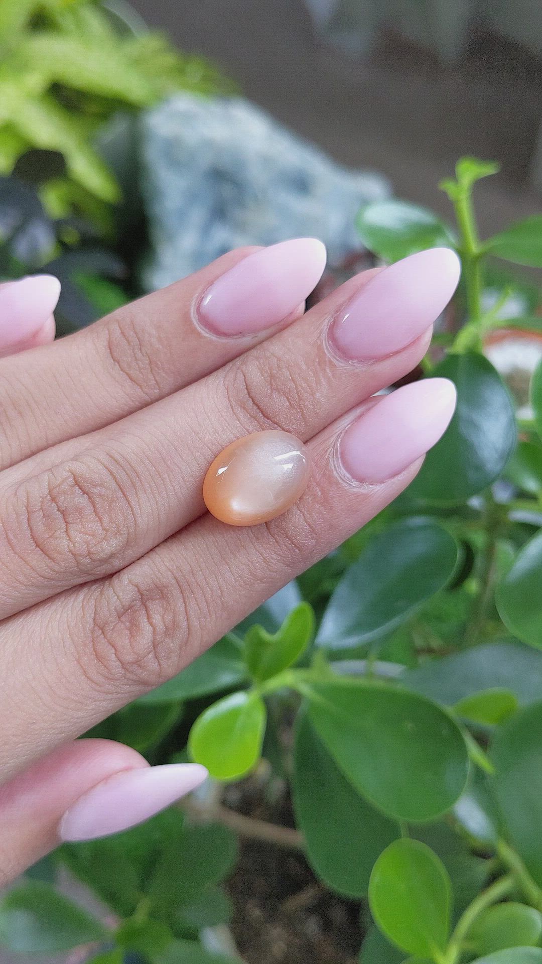 8.52 Ct. Cabochon Moonstone from Ceylon (Sri Lanka) Size Video