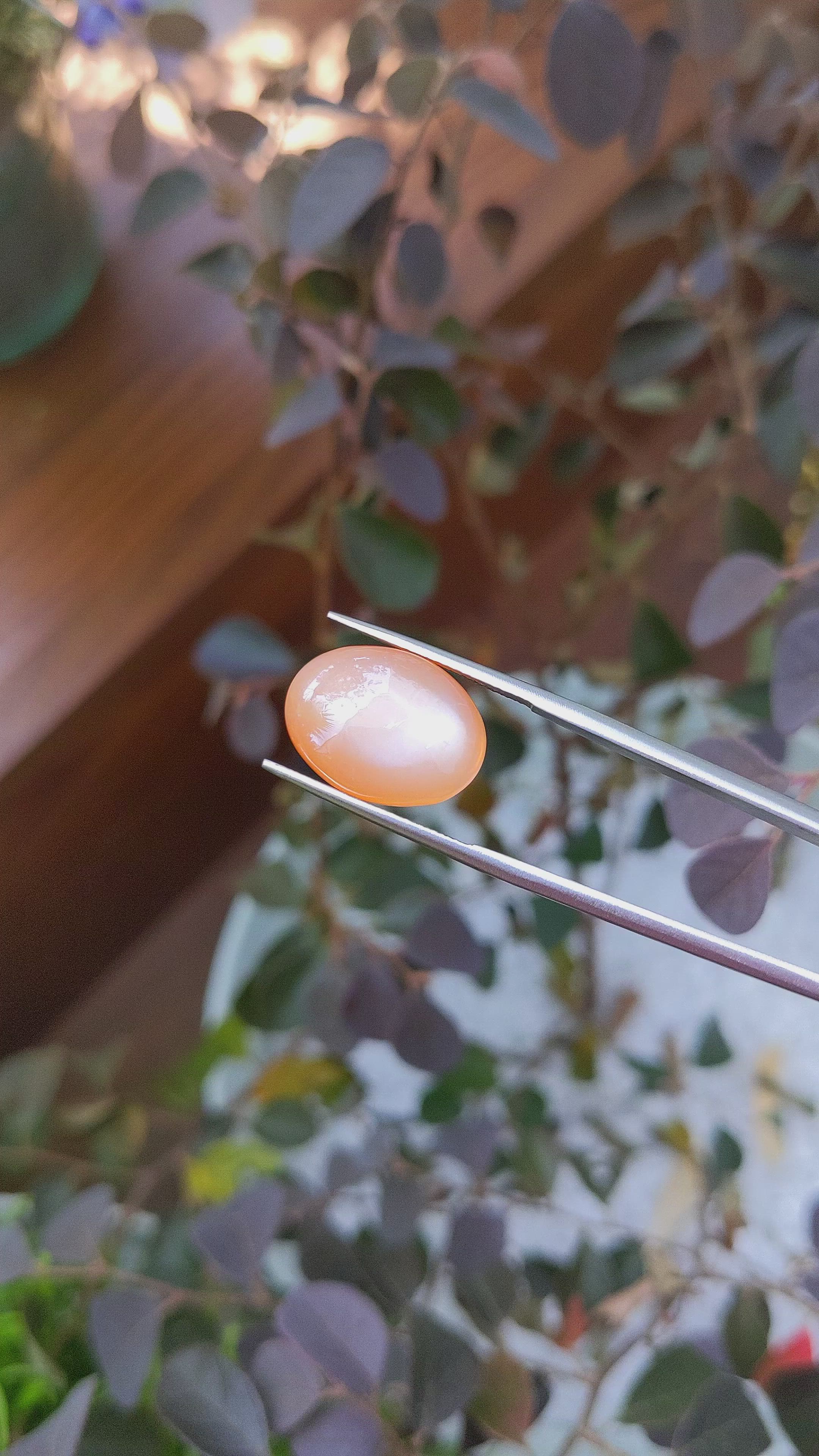 7.00 Ct. Cabochon Moonstone from Ceylon (Sri Lanka) Size Video