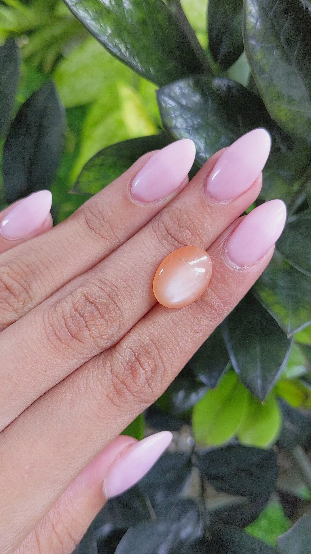 7.00 Ct. Cabochon Moonstone from Ceylon (Sri Lanka) Size Video