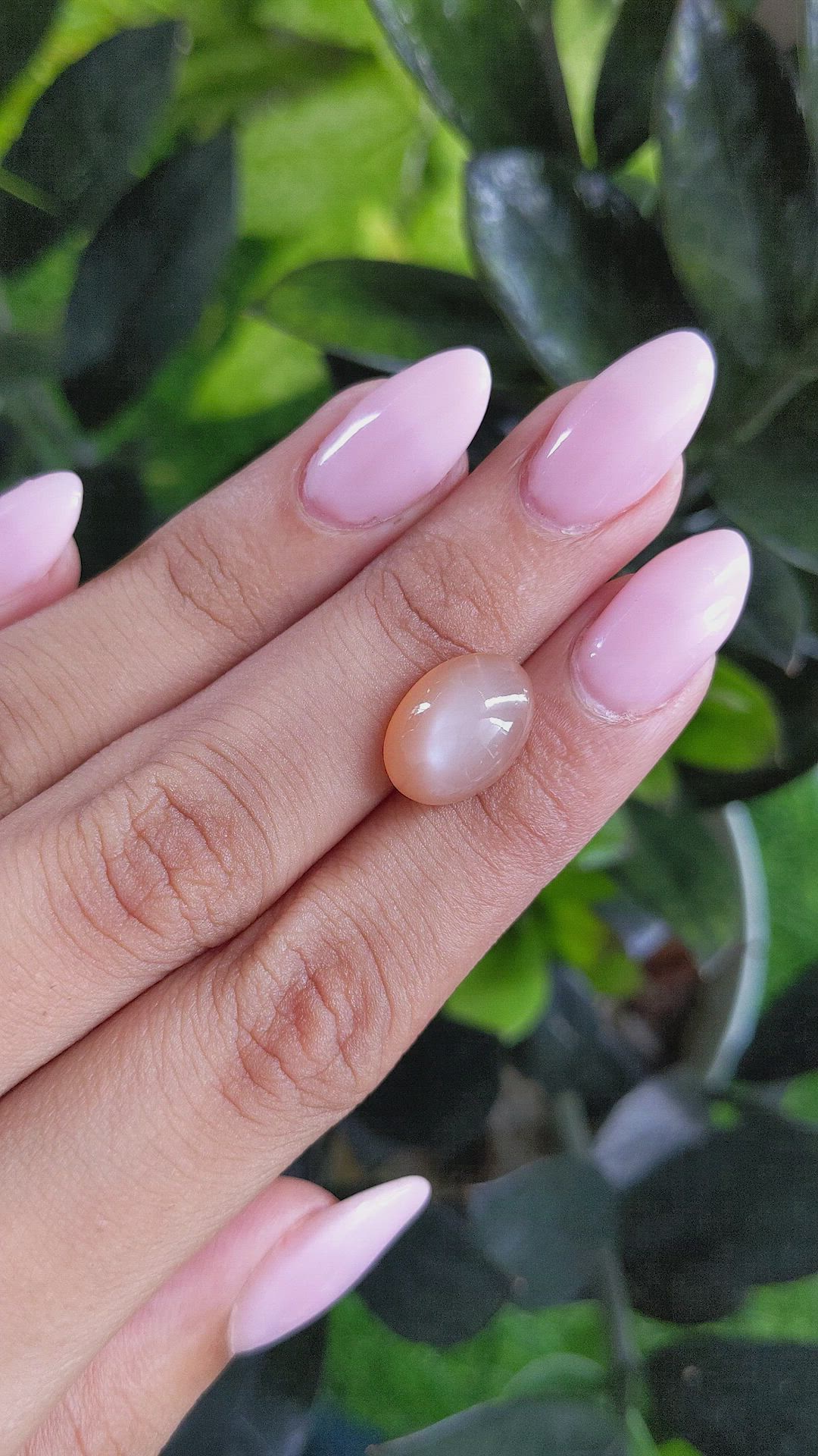 6.56 Ct. Cabochon Moonstone from Ceylon (Sri Lanka) Size Video