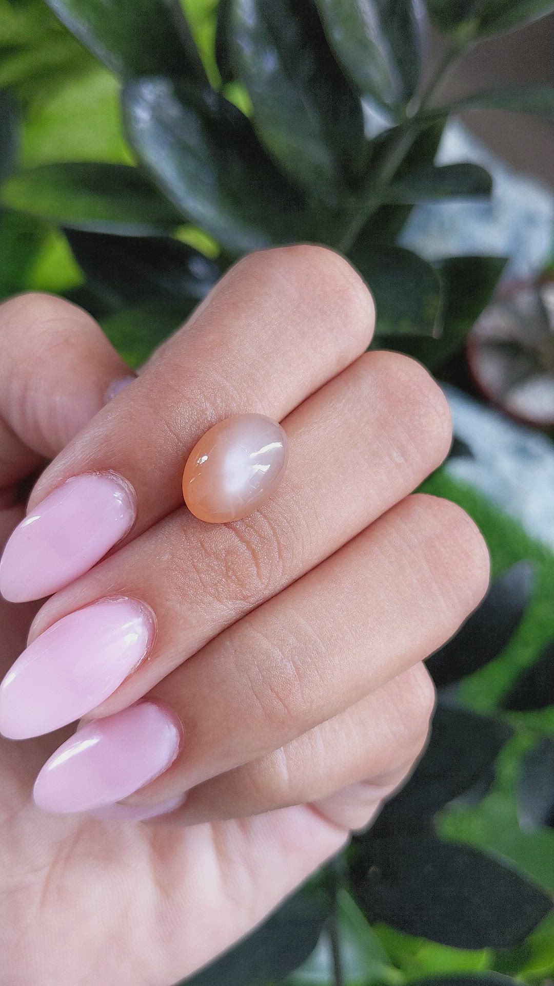 6.56 Ct. Cabochon Moonstone from Ceylon (Sri Lanka) Size Video