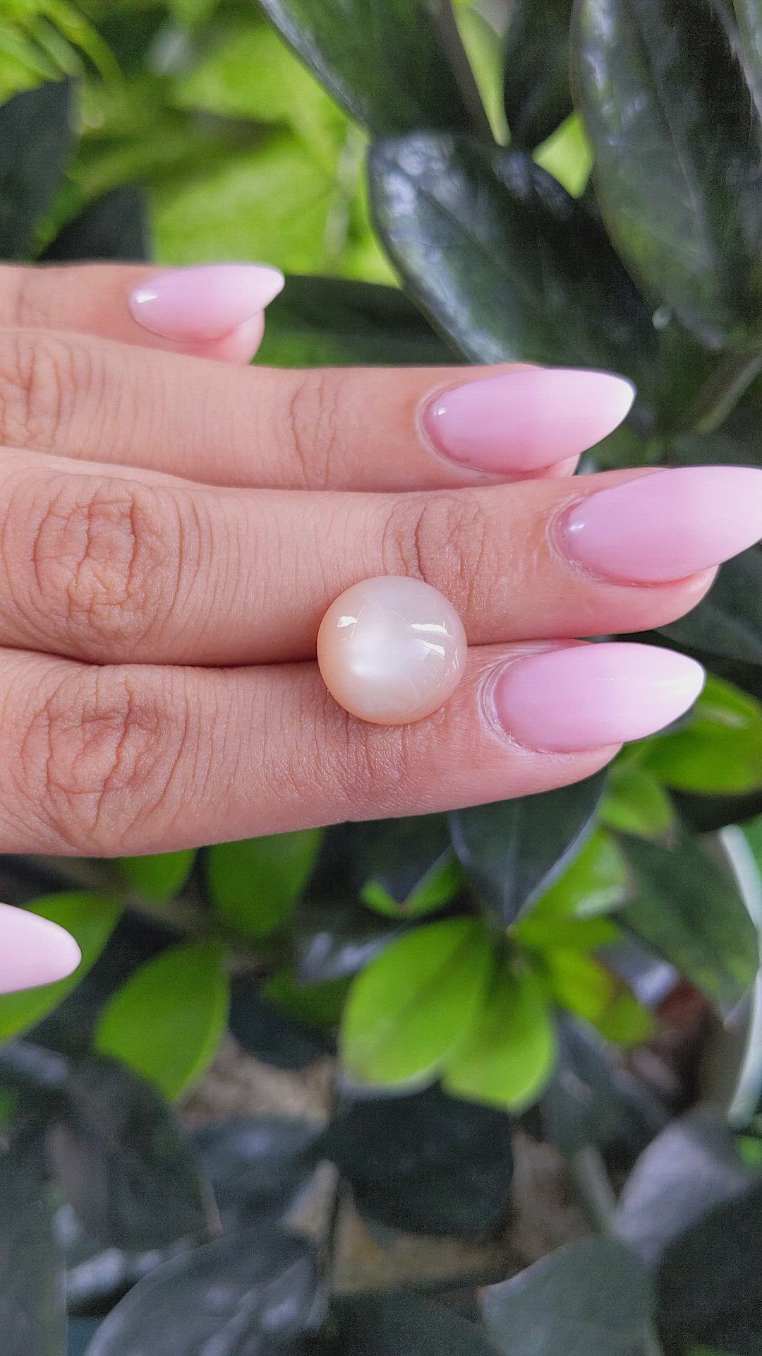 8.07 Ct. Cabochon Moonstone from Ceylon (Sri Lanka) Size Video