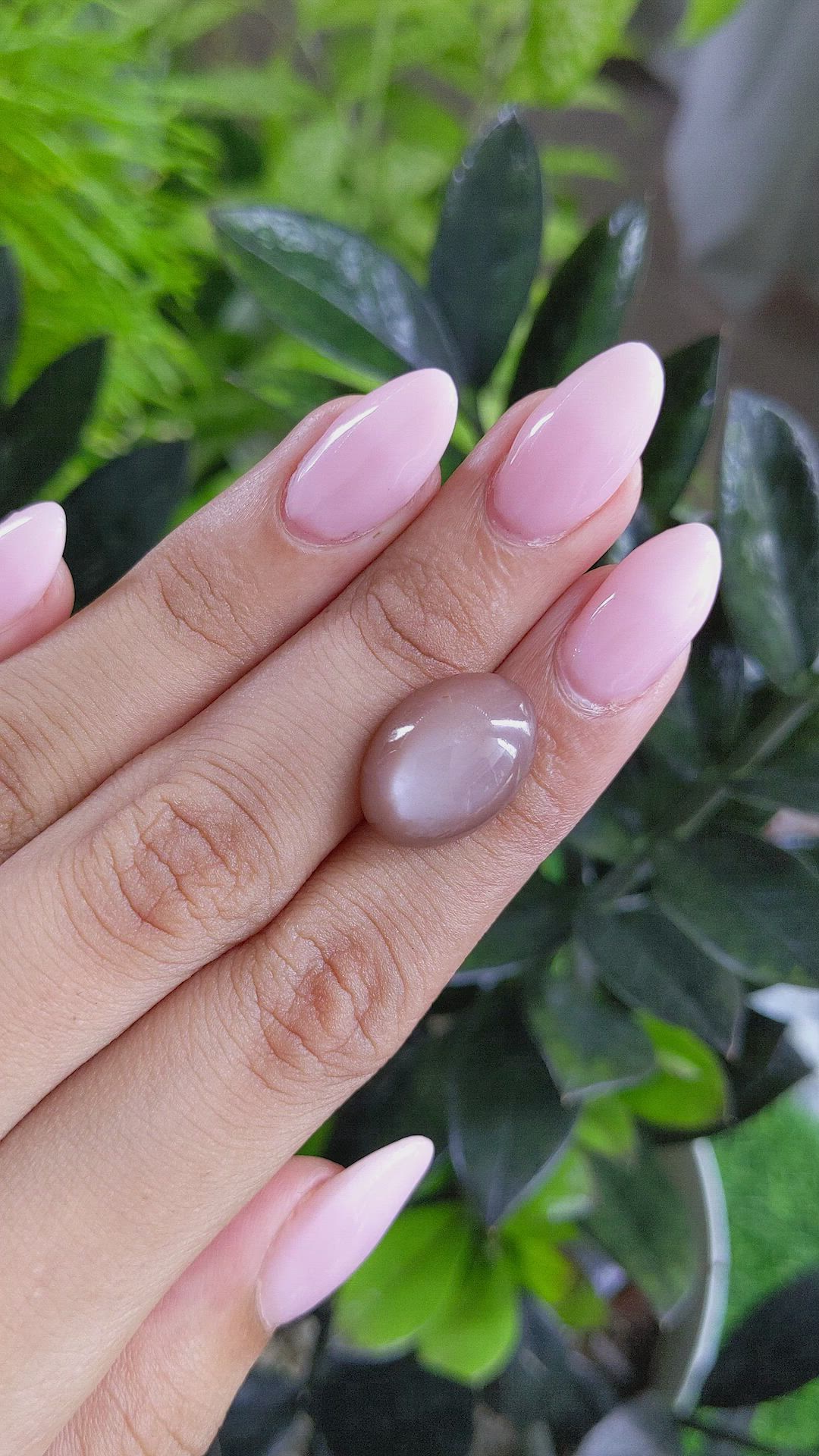10.58 Ct. Cabochon Moonstone from Ceylon (Sri Lanka) Size Video