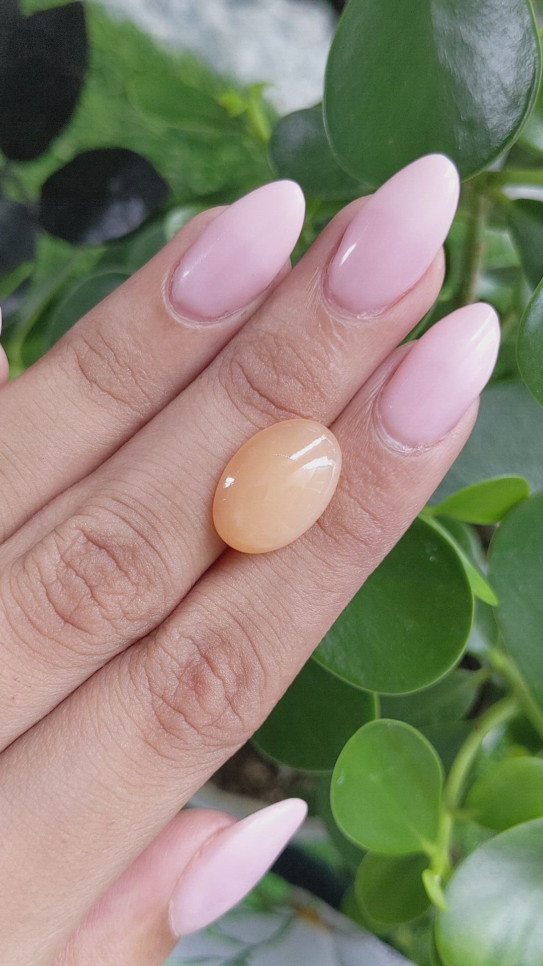 6.84 Ct. Cabochon Moonstone from Ceylon (Sri Lanka) Size Video
