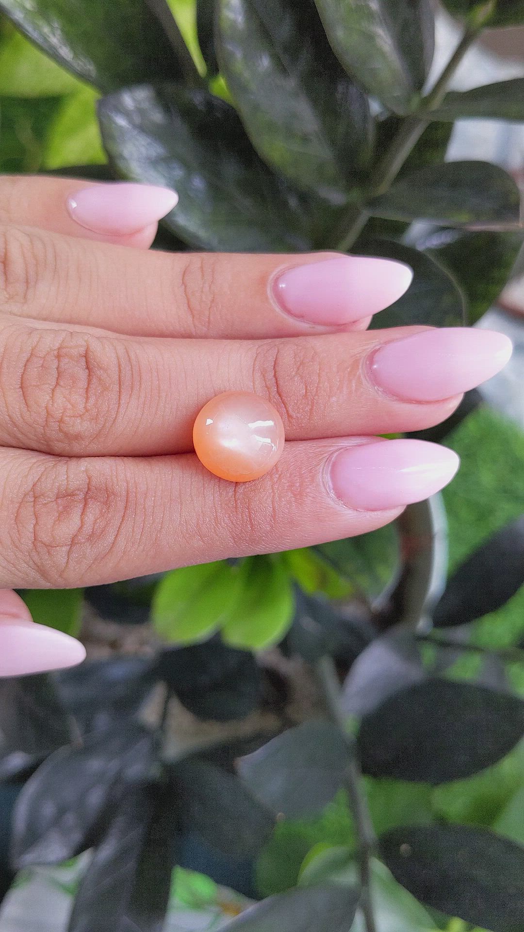 6.45 Ct. Cabochon Moonstone from Ceylon (Sri Lanka) Size Video