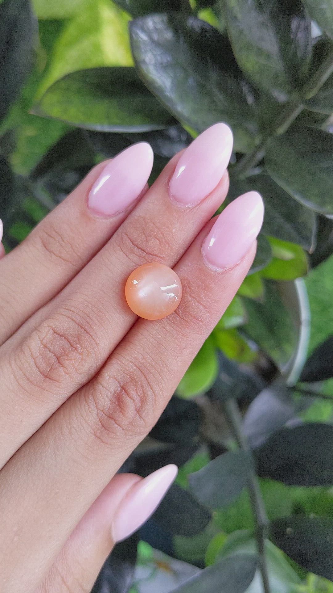 6.45 Ct. Cabochon Moonstone from Ceylon (Sri Lanka) Size Video