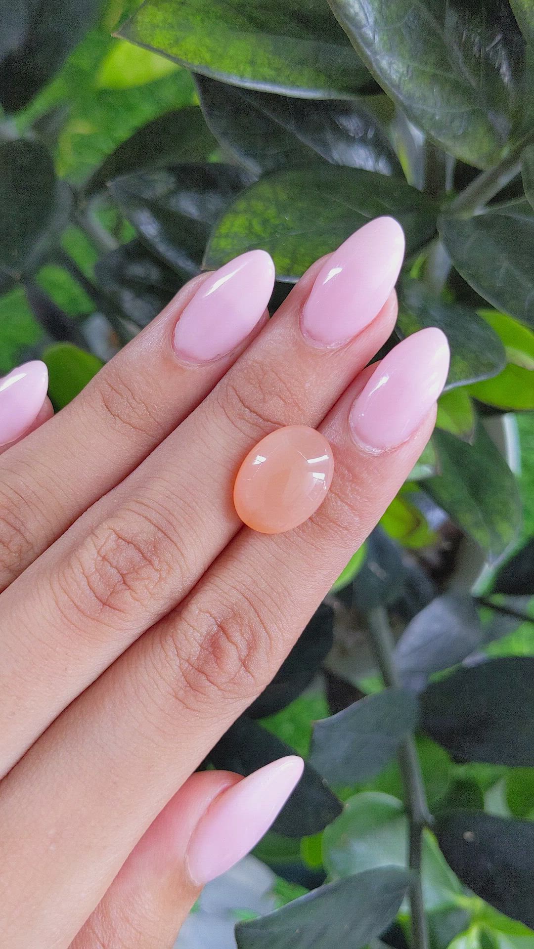 7.91 Ct. Cabochon Moonstone from Ceylon (Sri Lanka) Size Video