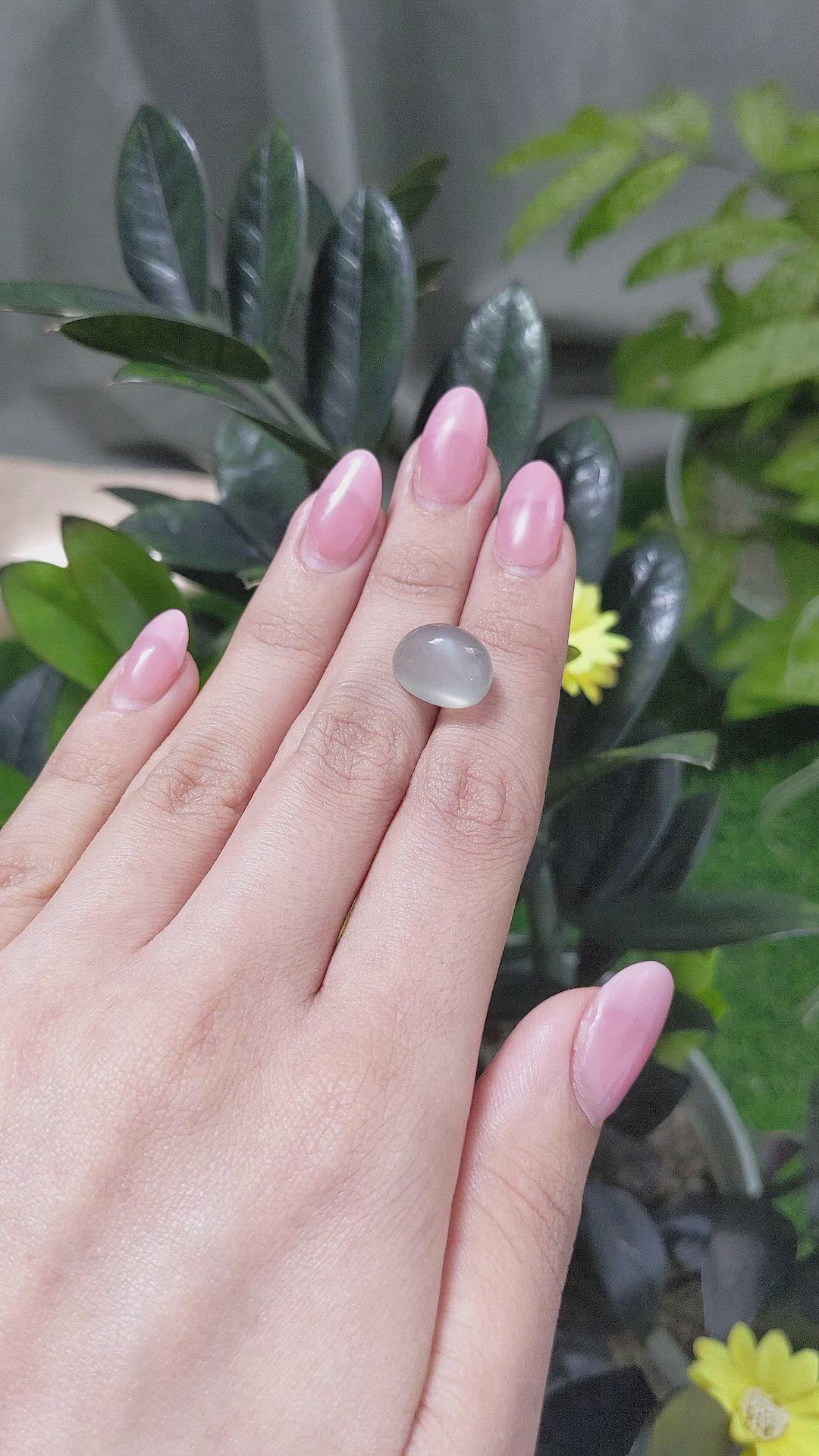 9.60 Ct. Cabochon Moonstone from Ceylon (Sri Lanka) Size Video