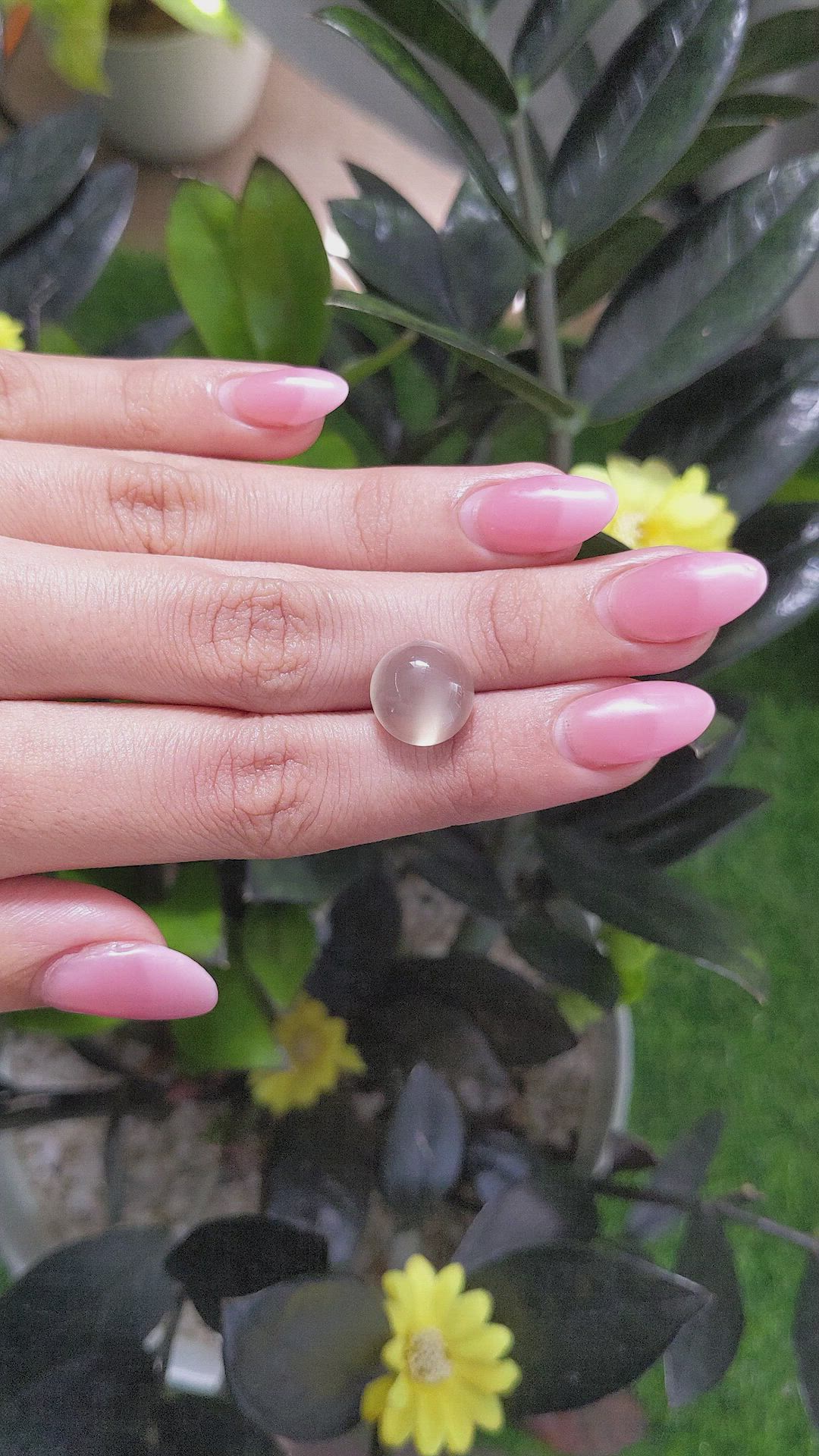 6.64 Ct. Cabochon Moonstone from Ceylon (Sri Lanka) Size Video
