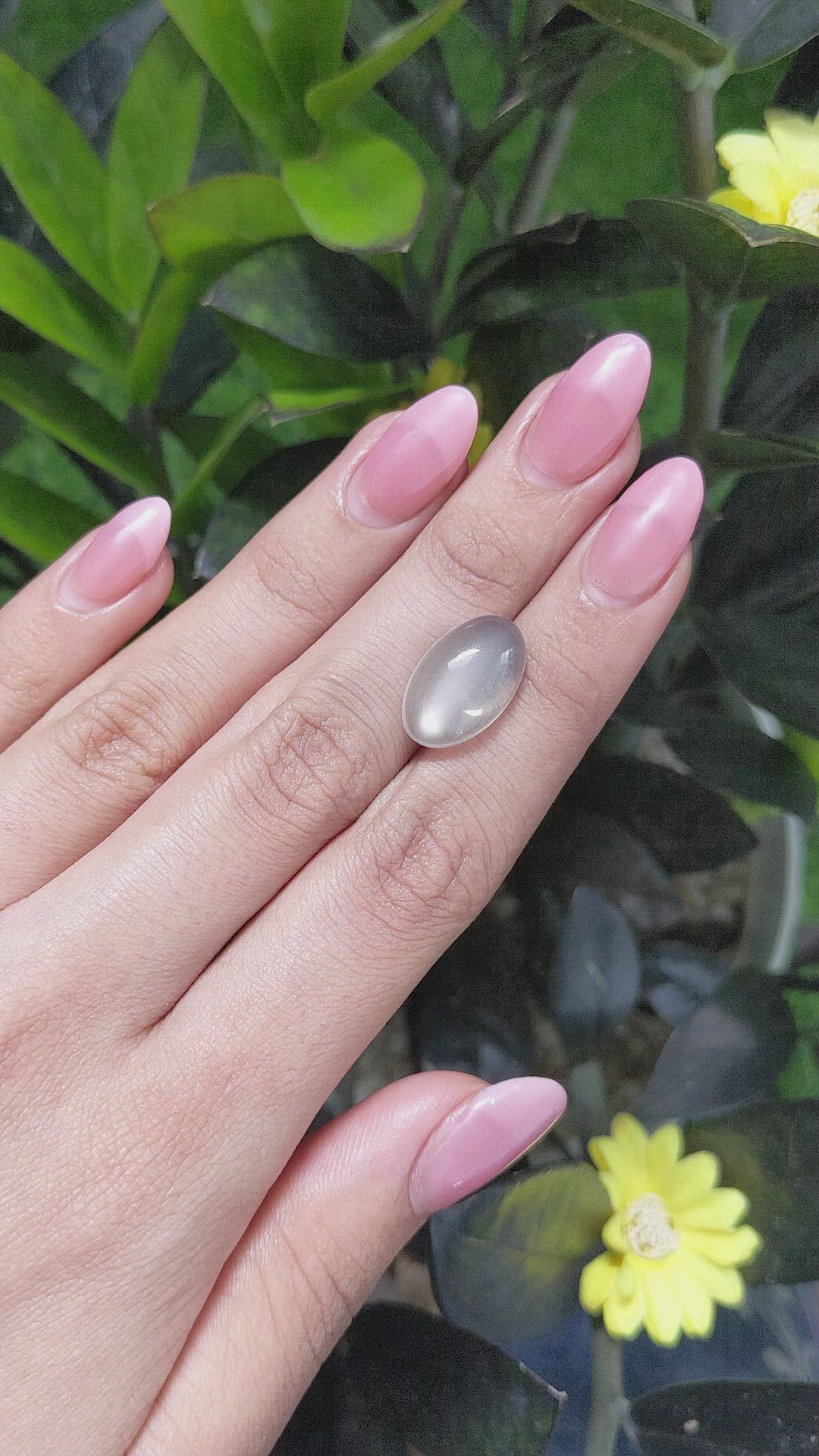 7.86 Ct. Cabochon Moonstone from Ceylon (Sri Lanka) Size Video