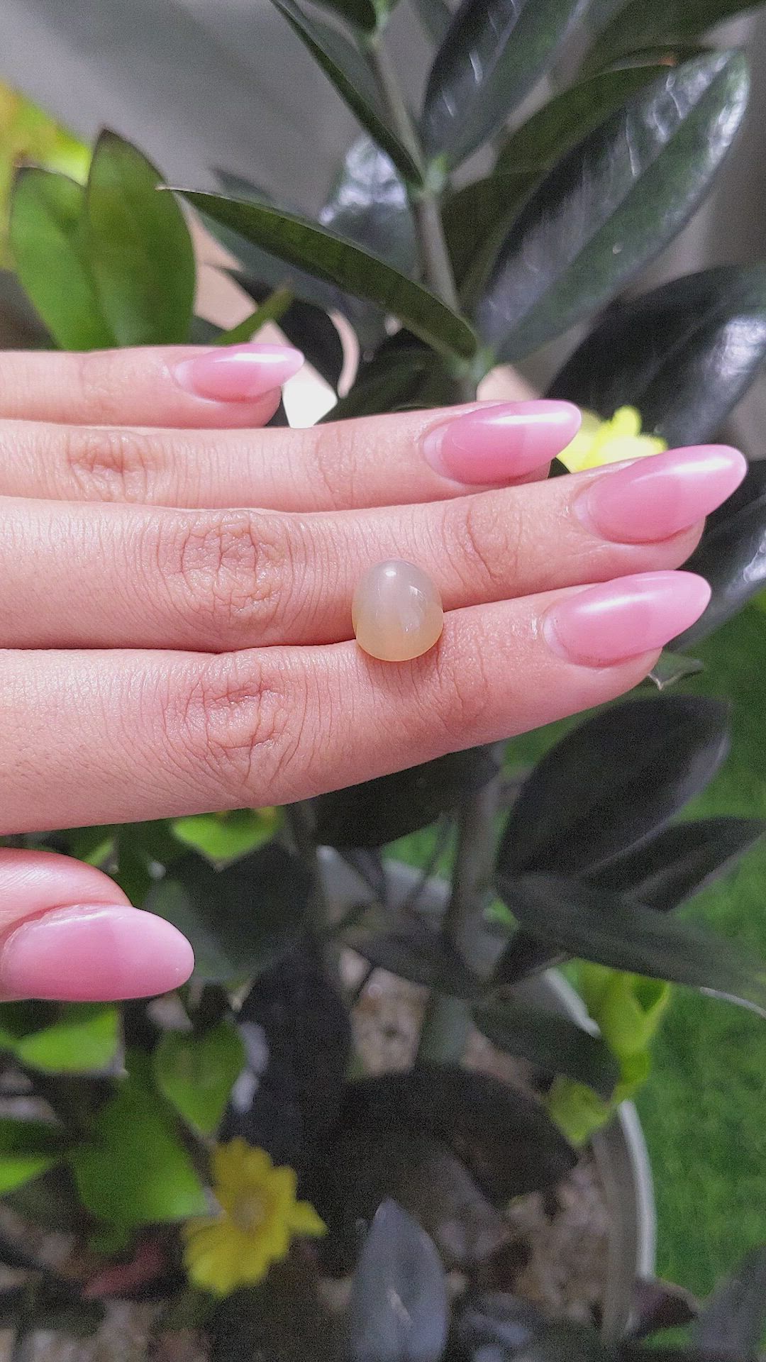 7.78 Ct. Cabochon Moonstone from Ceylon (Sri Lanka) Size Video