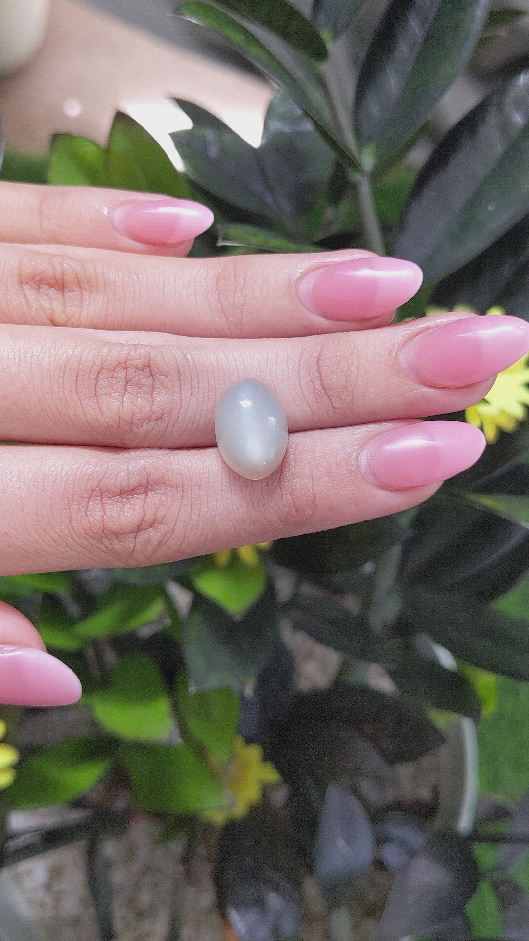9.09 Ct. Cabochon Moonstone from Ceylon (Sri Lanka) Size Video