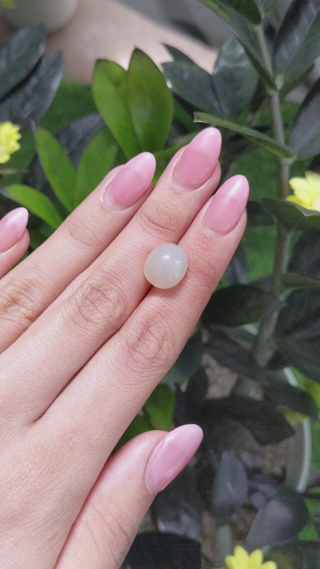 7.48 Ct. Cabochon Moonstone from Ceylon (Sri Lanka) Size Video