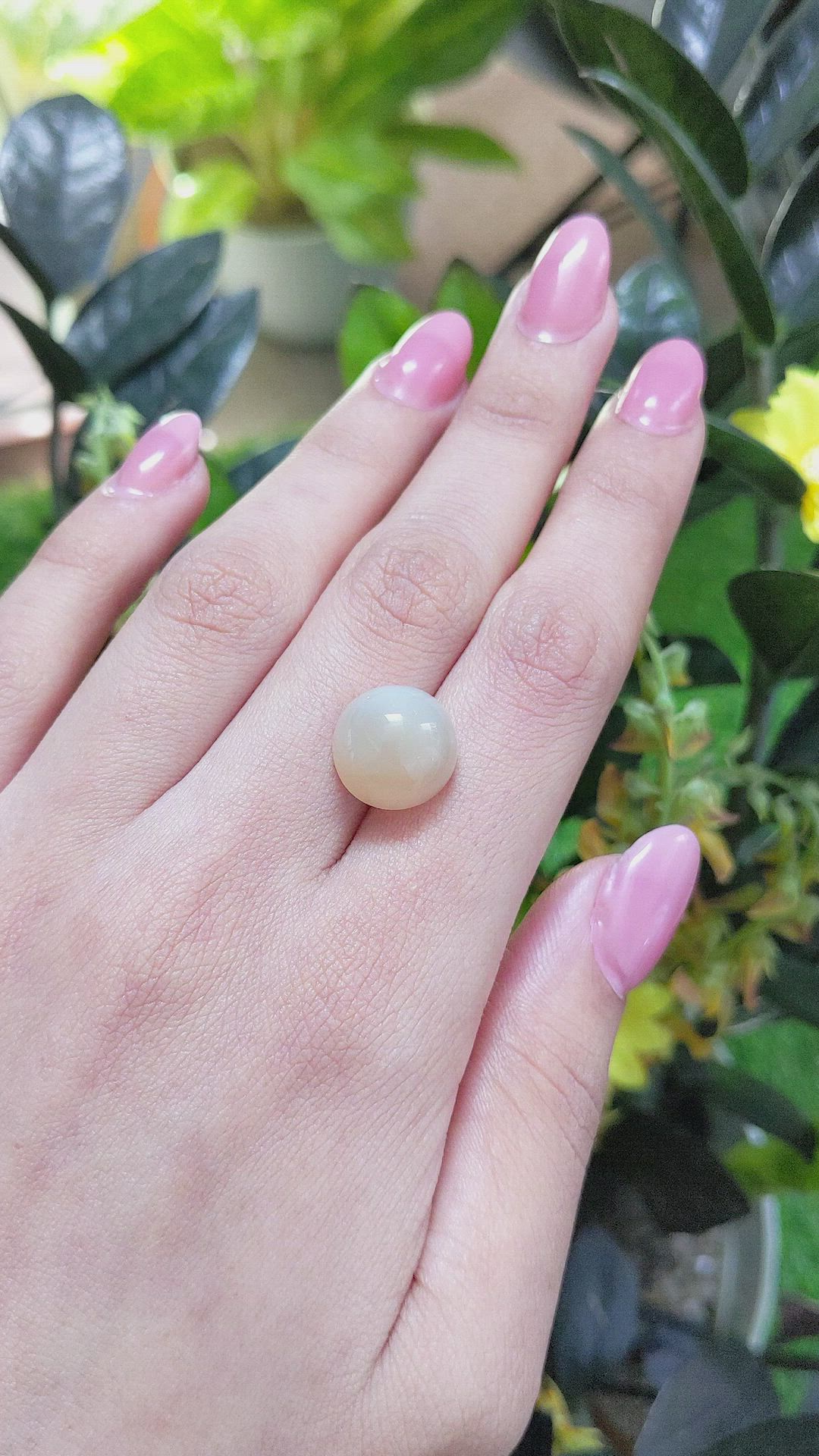 11.01 Ct. Cabochon Moonstone from Ceylon (Sri Lanka) Size Video