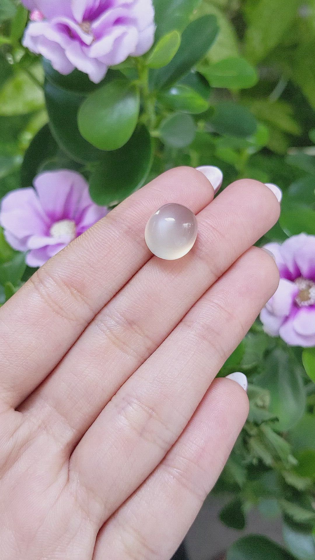 11.06 Ct. Cabochon Moonstone from Ceylon (Sri Lanka) Size Video
