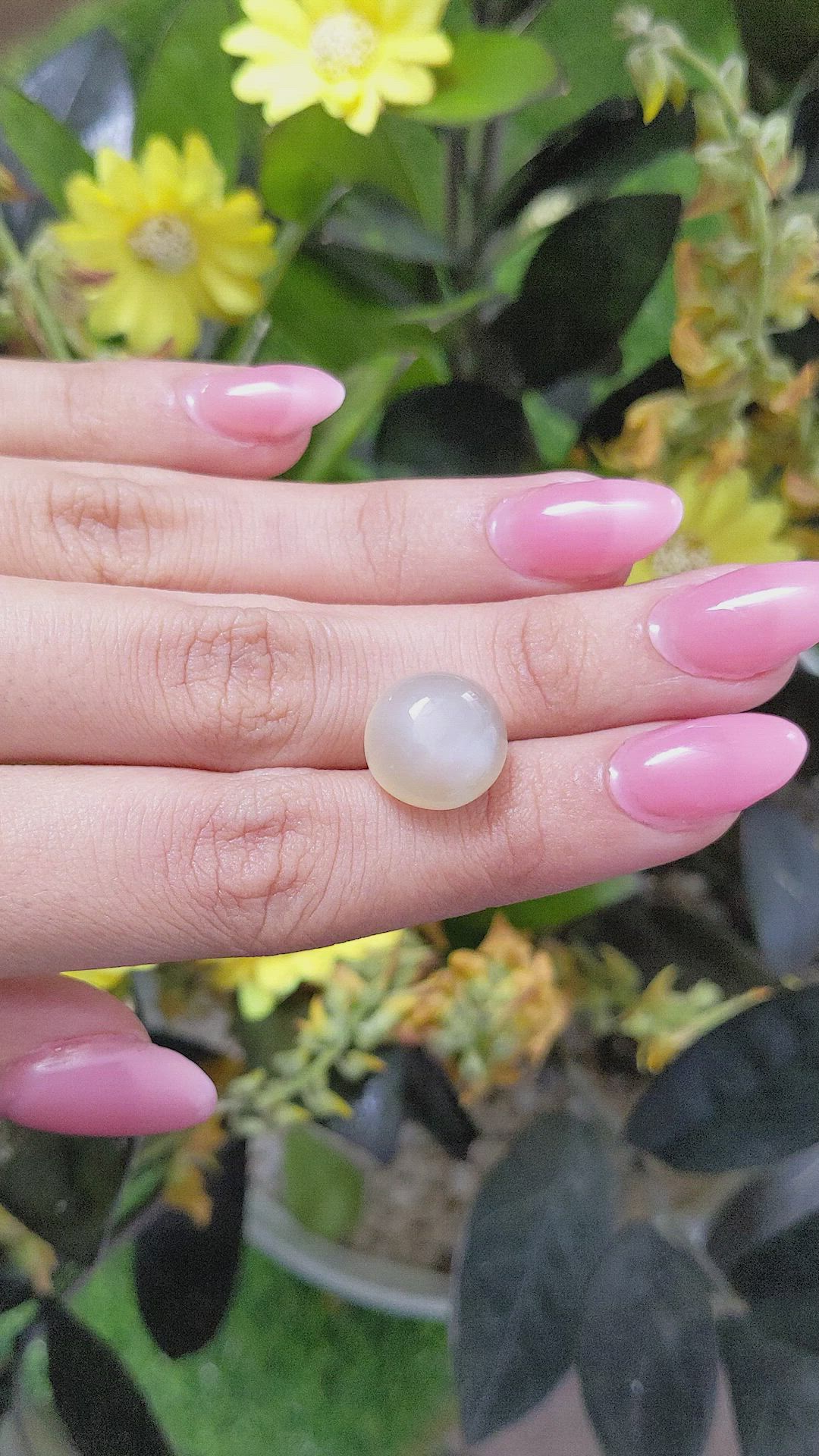 10.79 Ct. Cabochon Moonstone from Ceylon (Sri Lanka) Size Video