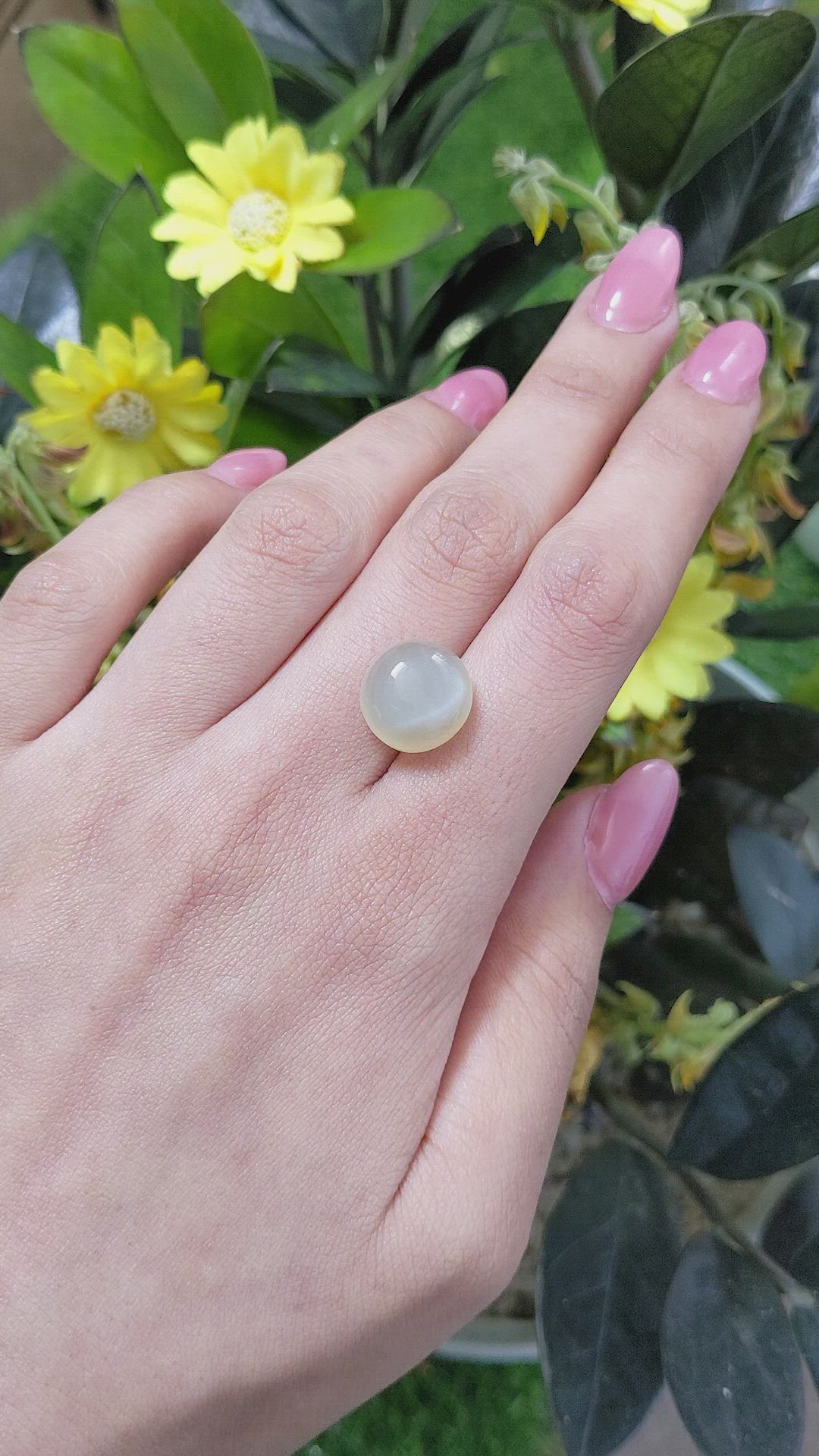 10.79 Ct. Cabochon Moonstone from Ceylon (Sri Lanka) Size Video