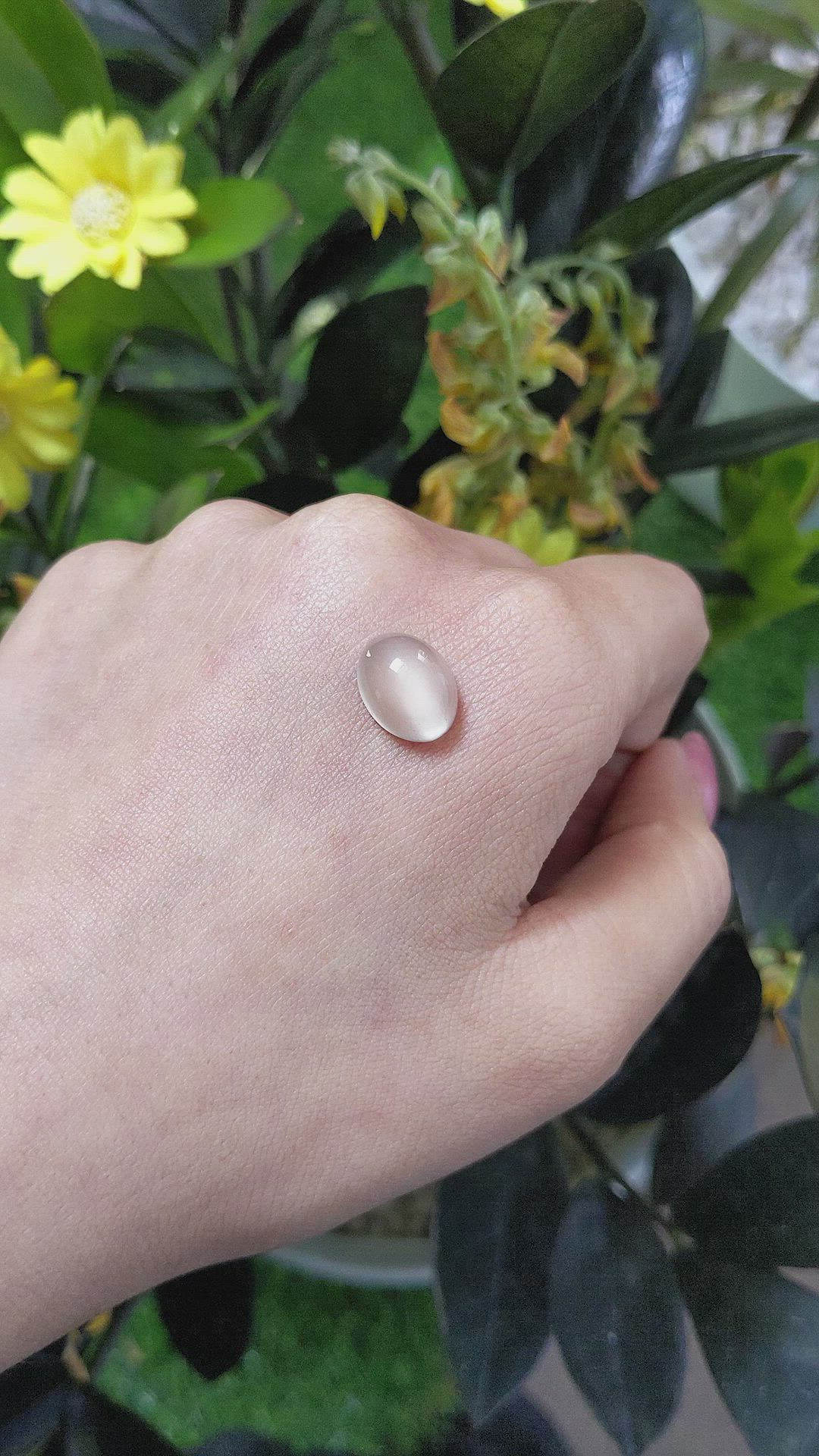 6.18 Ct. Cabochon Moonstone from Ceylon (Sri Lanka) Size Video