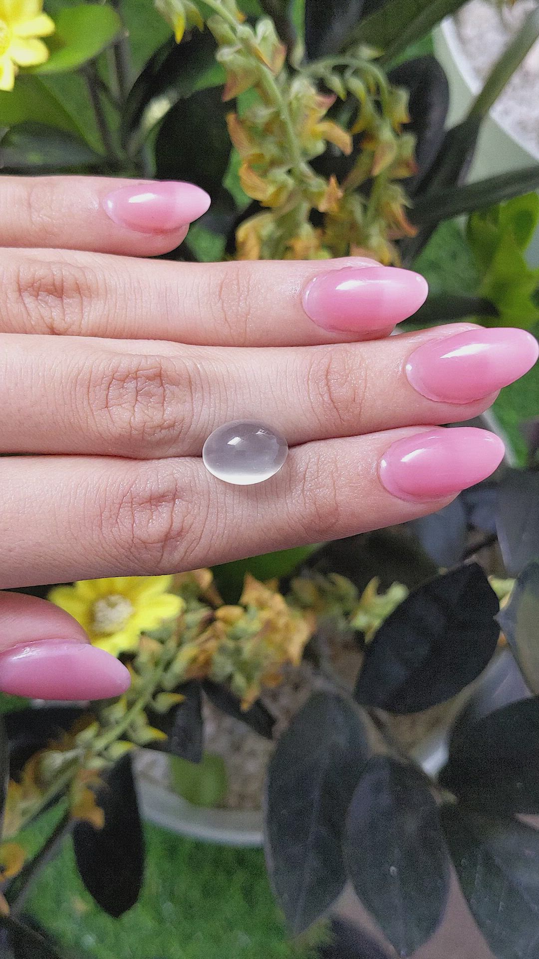 6.18 Ct. Cabochon Moonstone from Ceylon (Sri Lanka) Size Video