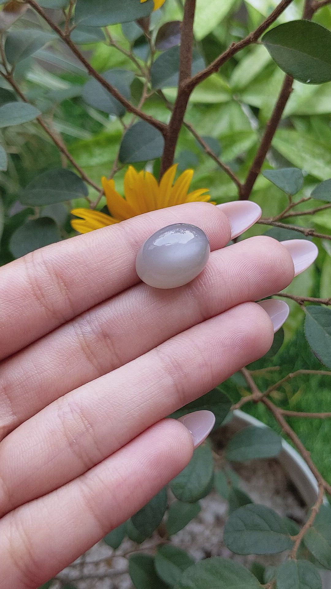 20.15 Ct. Cabochon Moonstone from Ceylon (Sri Lanka) Size Video