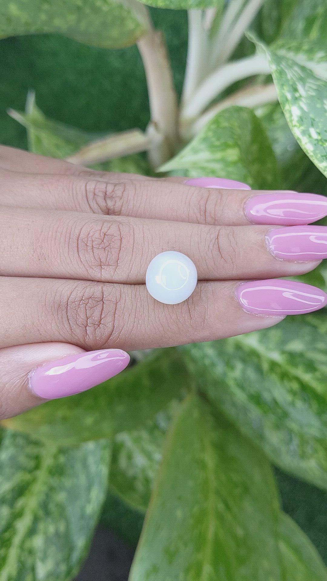 8.01 Ct. Cabochon Moonstone from Ceylon (Sri Lanka) Size Video