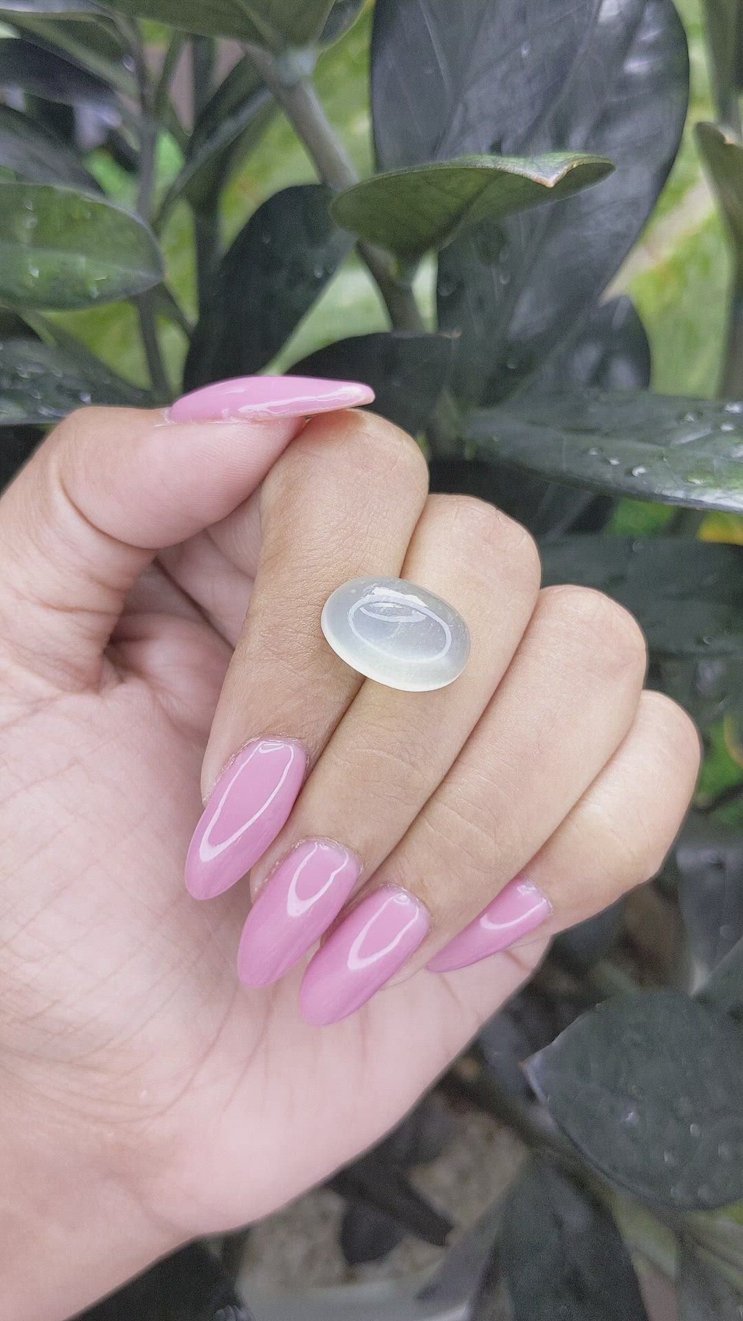 10.48 Ct. Cabochon Moonstone from Ceylon (Sri Lanka) Size Video
