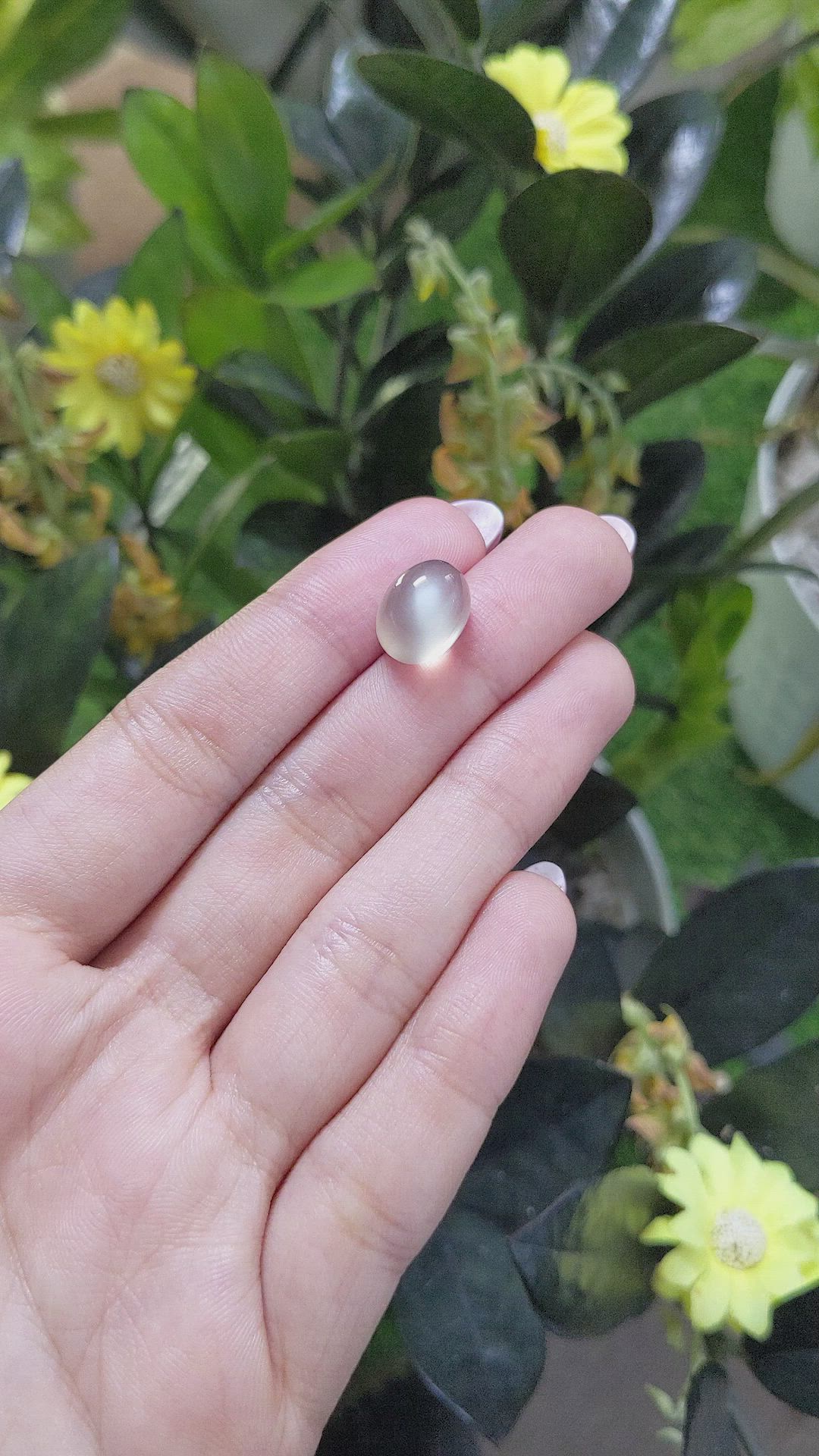9.47 Ct. Cabochon Moonstone from Ceylon (Sri Lanka) Size Video
