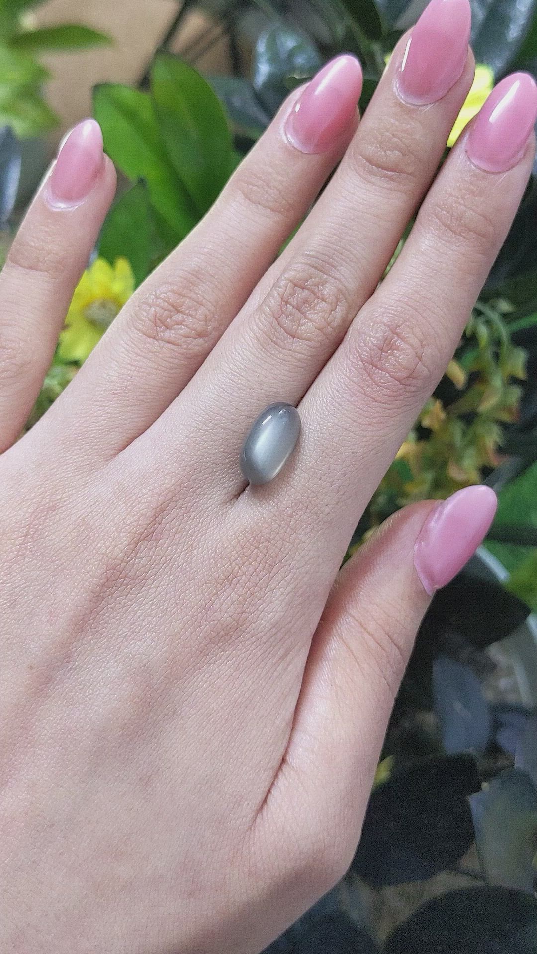 6.98 Ct. Cabochon Moonstone from Ceylon (Sri Lanka) Size Video