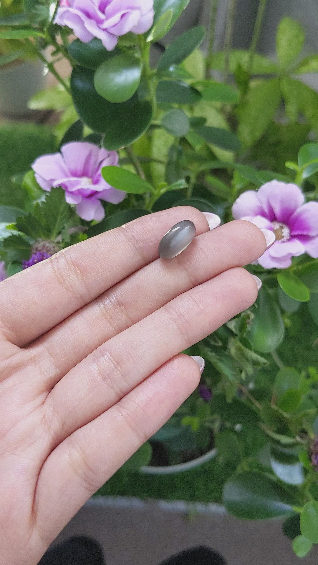 6.98 Ct. Cabochon Moonstone from Ceylon (Sri Lanka) Size Video