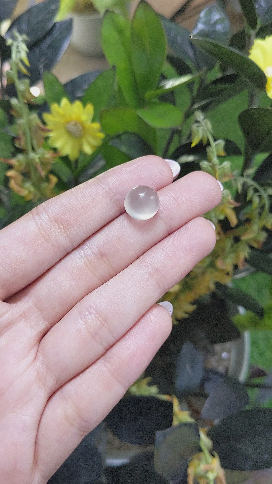 7.42 Ct. Cabochon Moonstone from Ceylon (Sri Lanka) Size Video