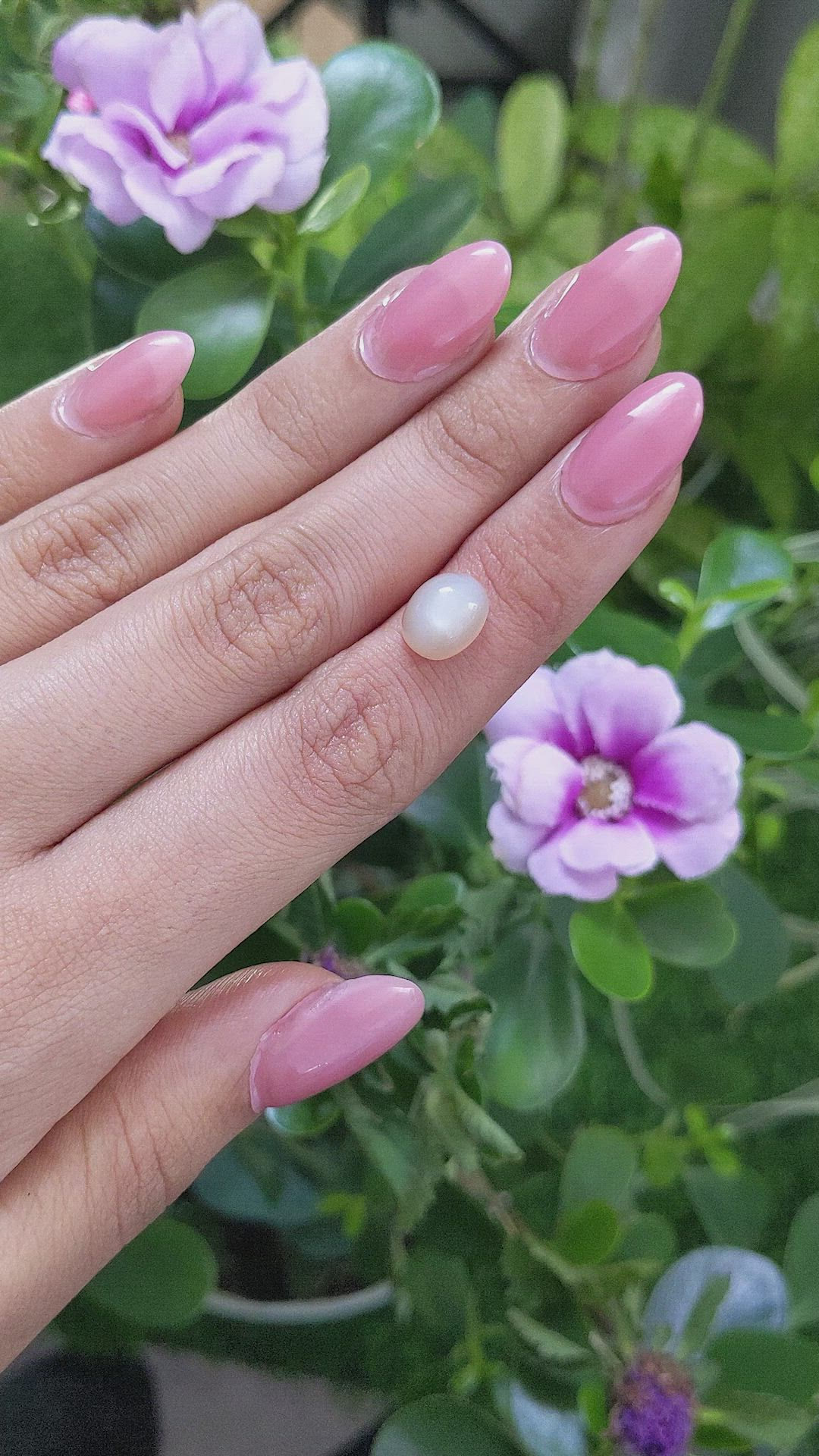 3.64 Ct. Cabochon Moonstone from Ceylon (Sri Lanka) Size Video